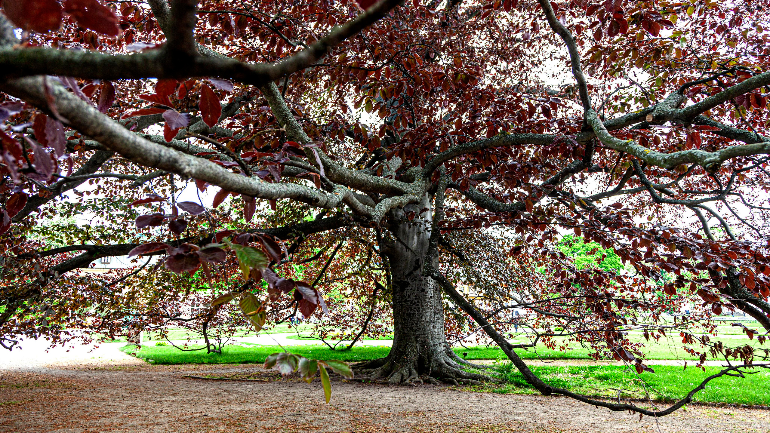 157.Pillnitz.Germany.14.5.2023. Путешествия в формате 360......
