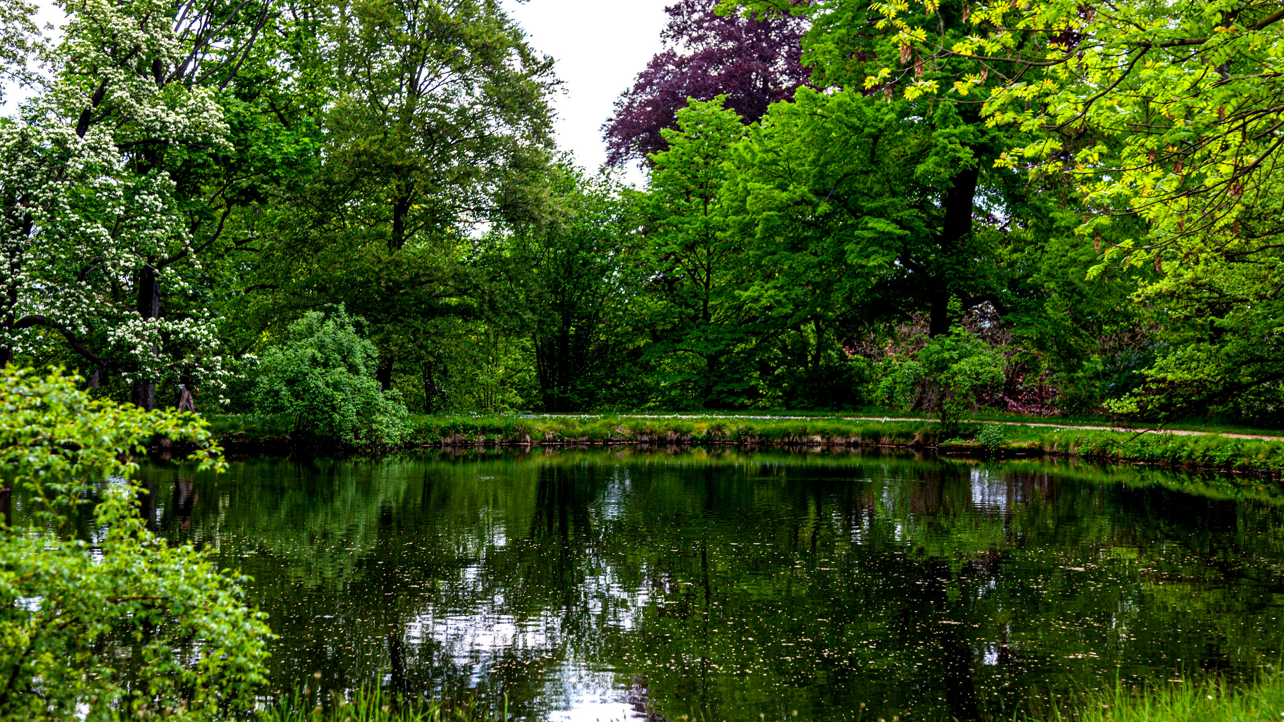 157.Pillnitz.Germany.14.5.2023. Путешествия в формате 360......