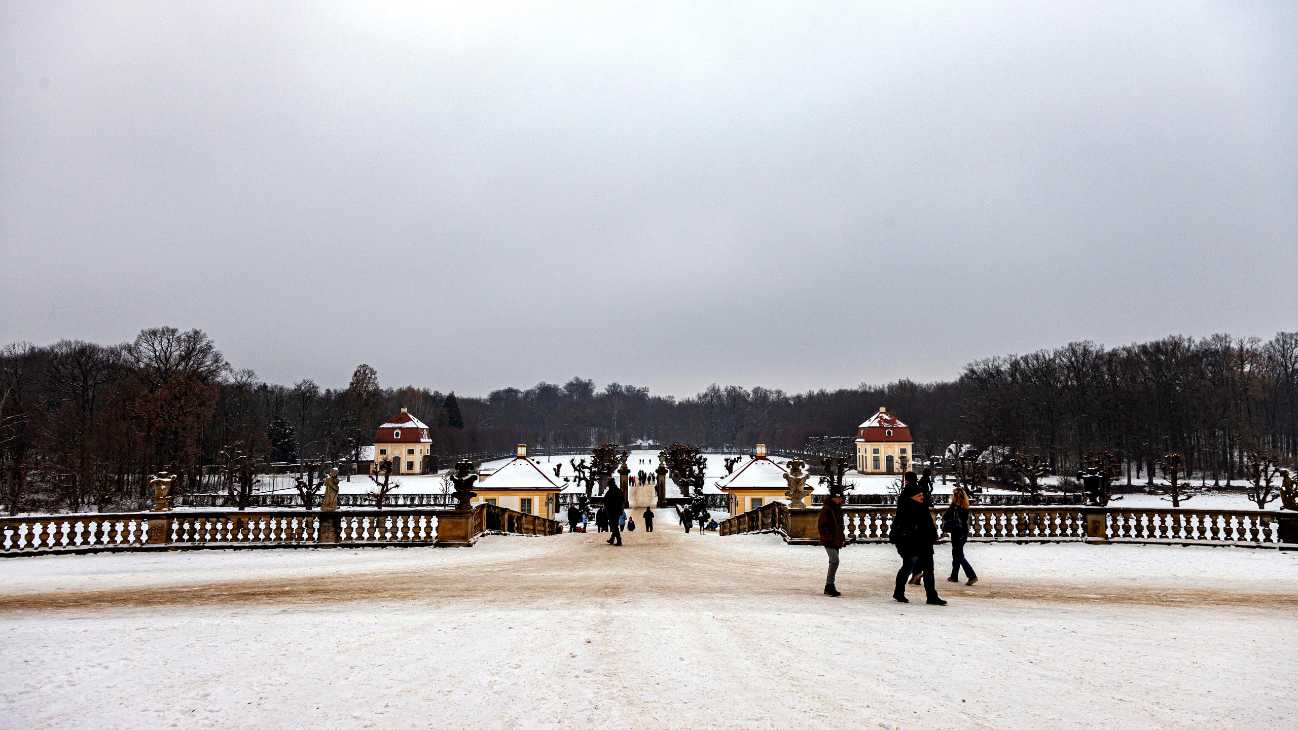 156.Moritzburg & Dresden.17.12.2022. Путешествия в формате 360......