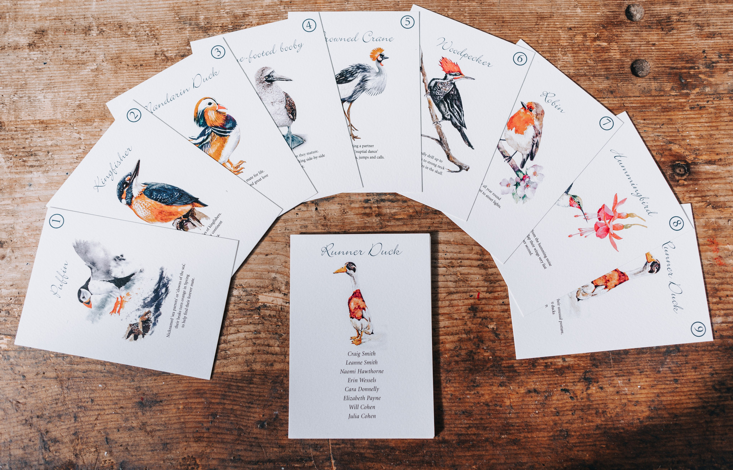 GEMMA + BIANCA. Main