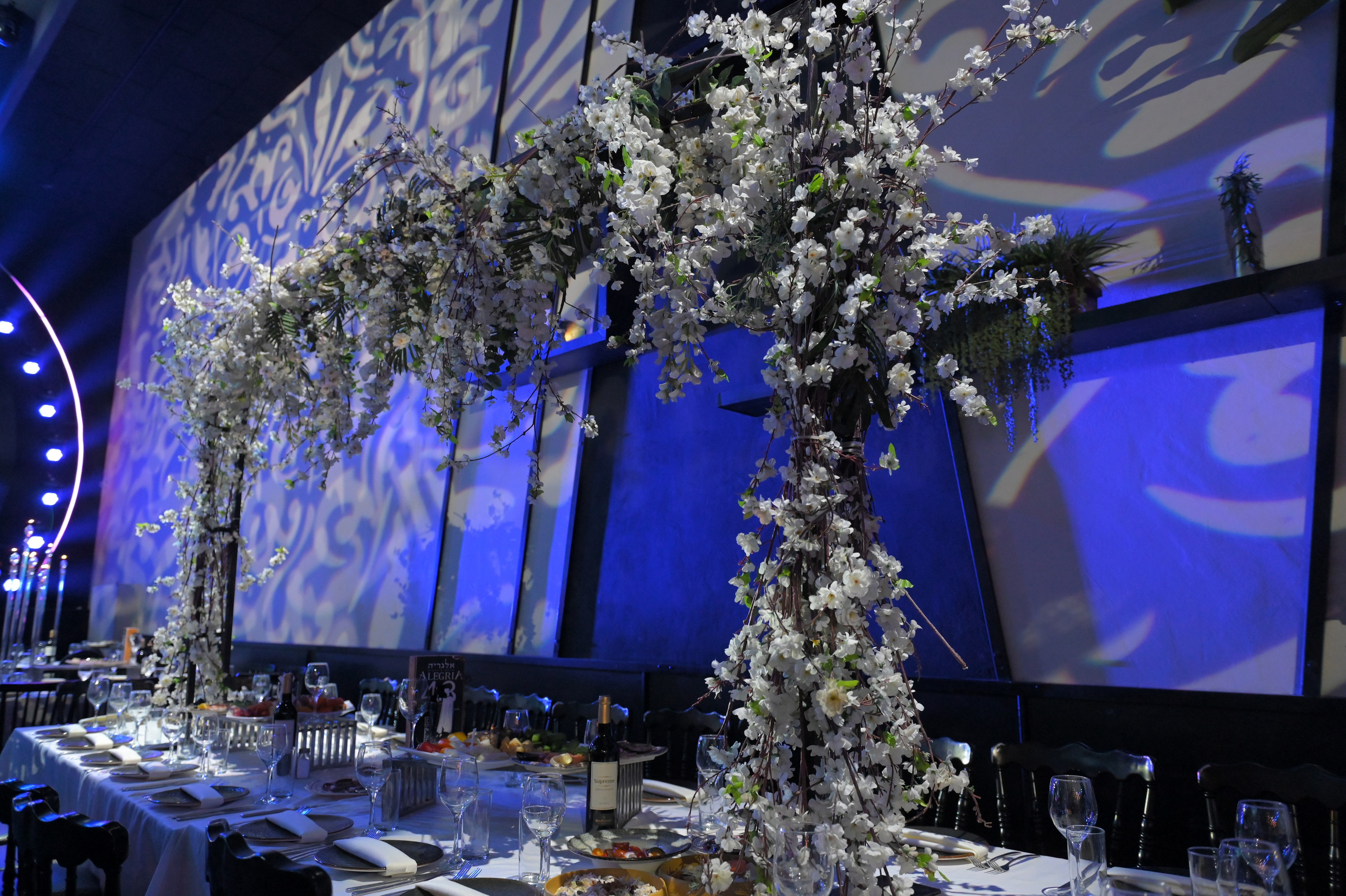 Ronen & Mazal. Wedding and events photographers Studio Shalom