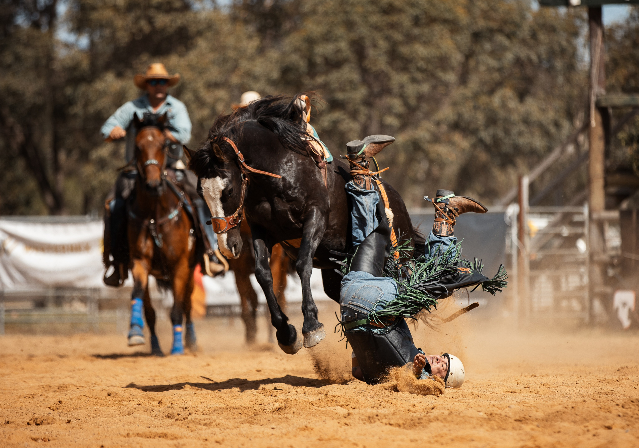 Selection of photos from different rodeos