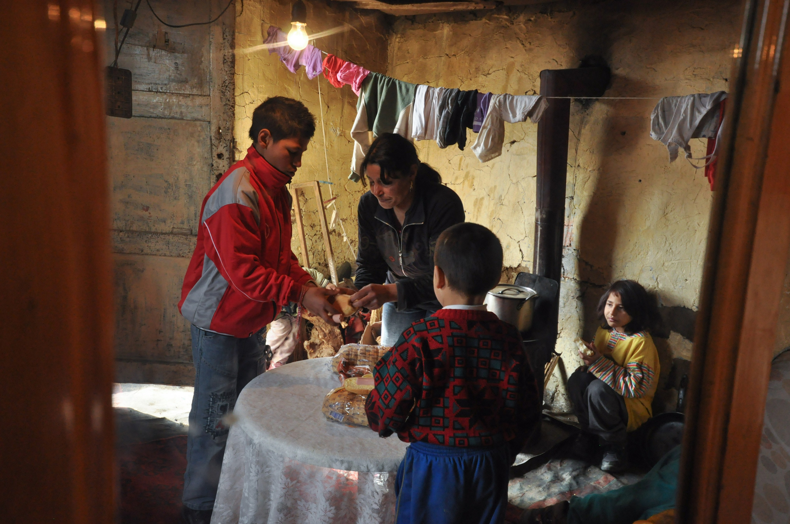 Hope for Cherry Blossom. Mayya Kelova artist