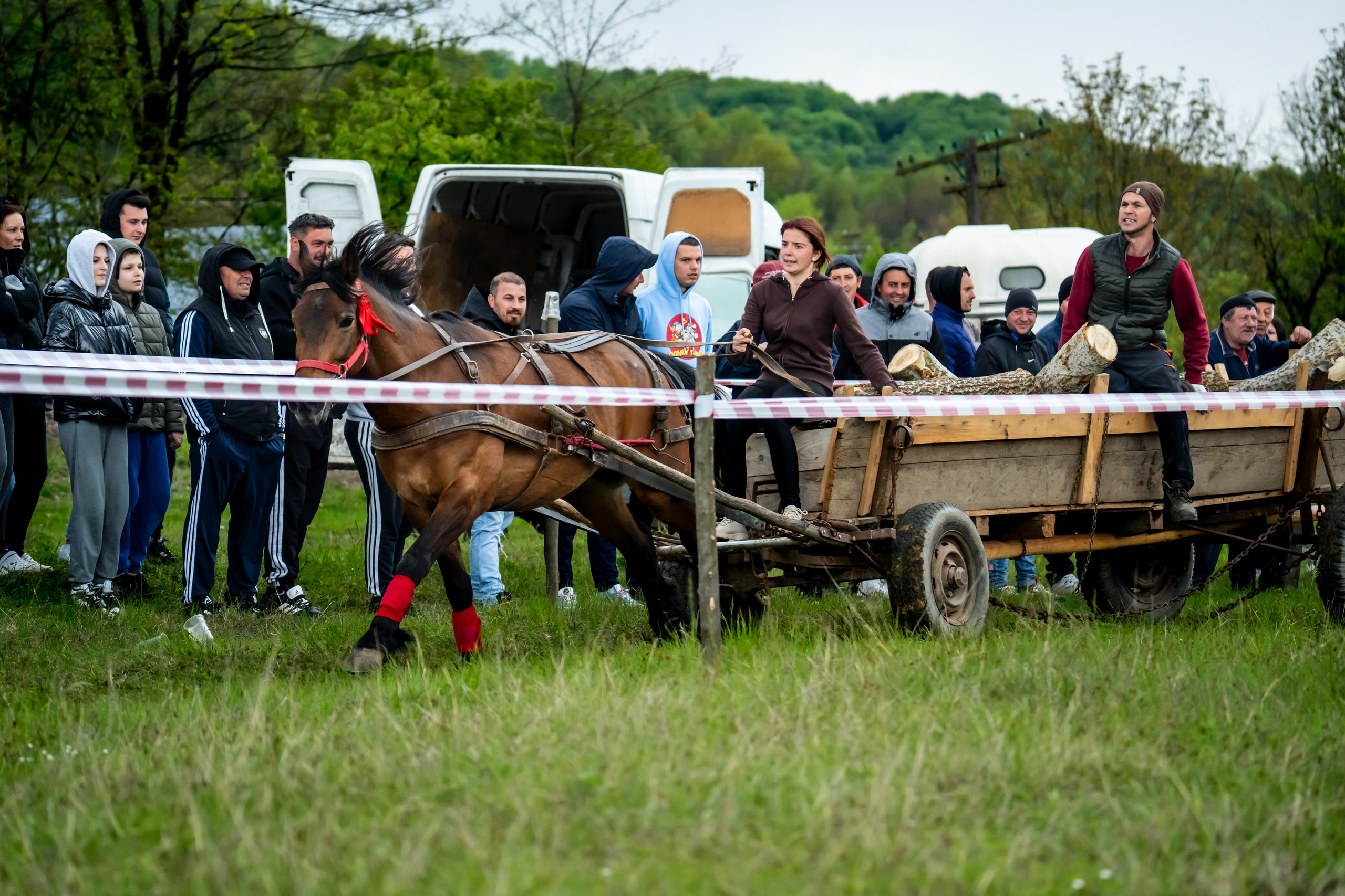 Concurs Ecvestru Vărbilău ediția a 4-a. Mihai Alexandra Events