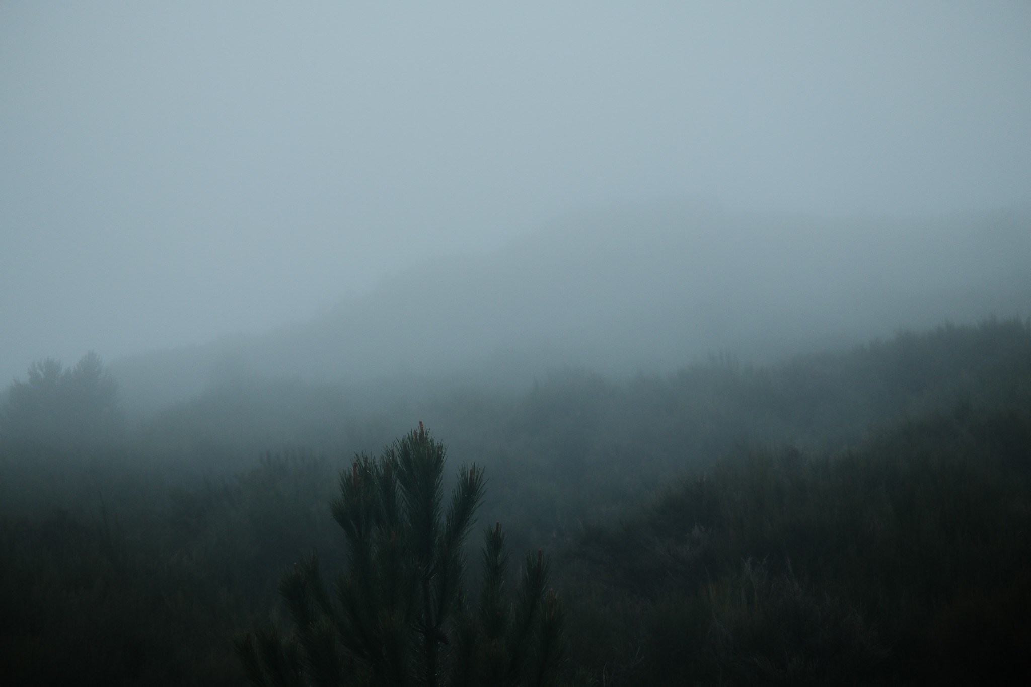 Madeira 2025. Cal Takes Photos