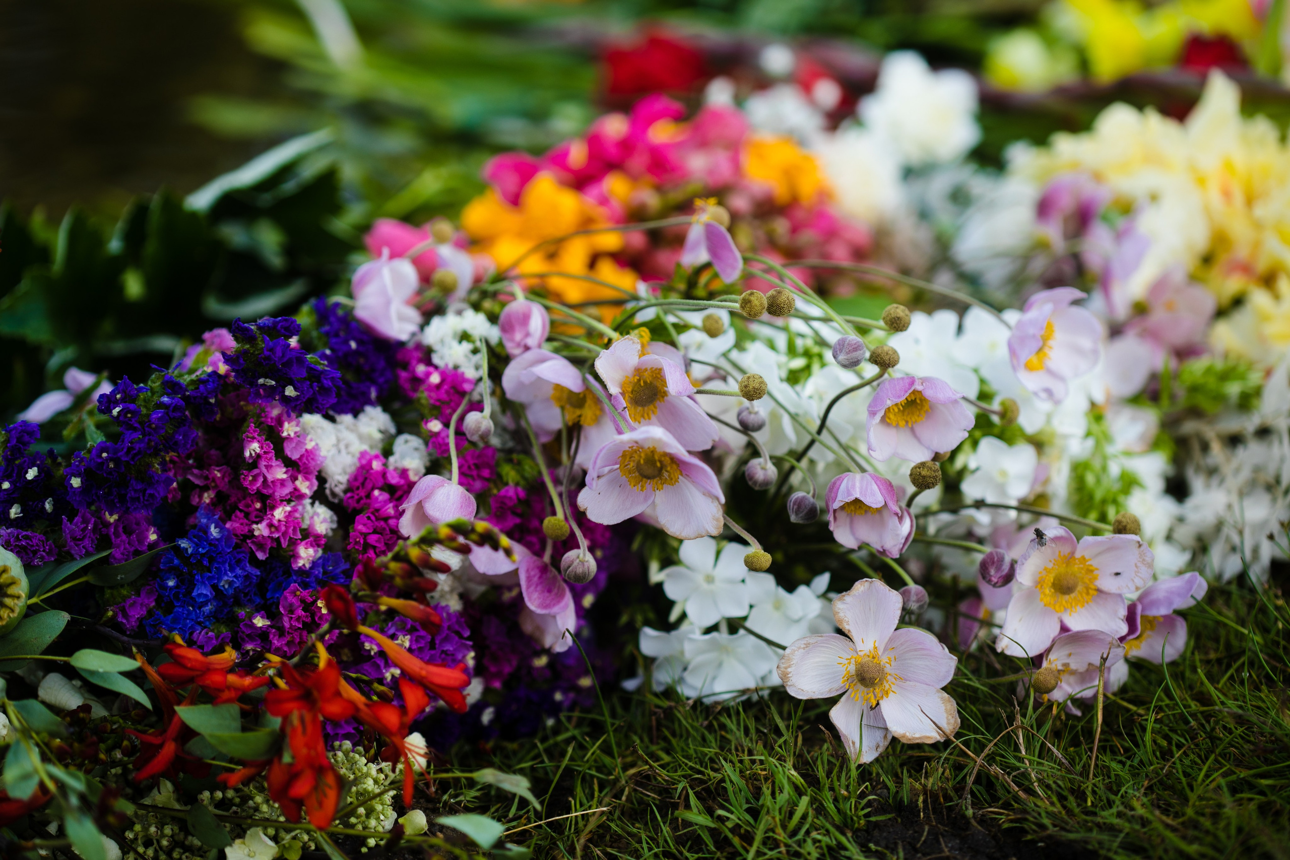 Wedding ceremony Agnese &Aleksandrs. Sandra Garanca Portrait and event photographer