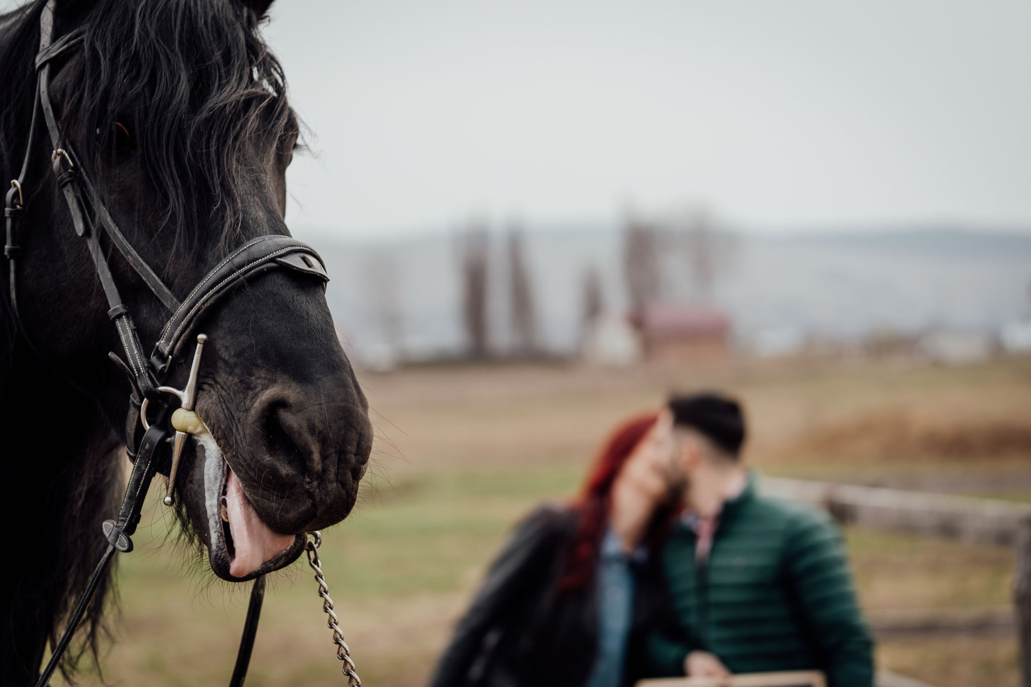 Save the date - Stefania & Dragos