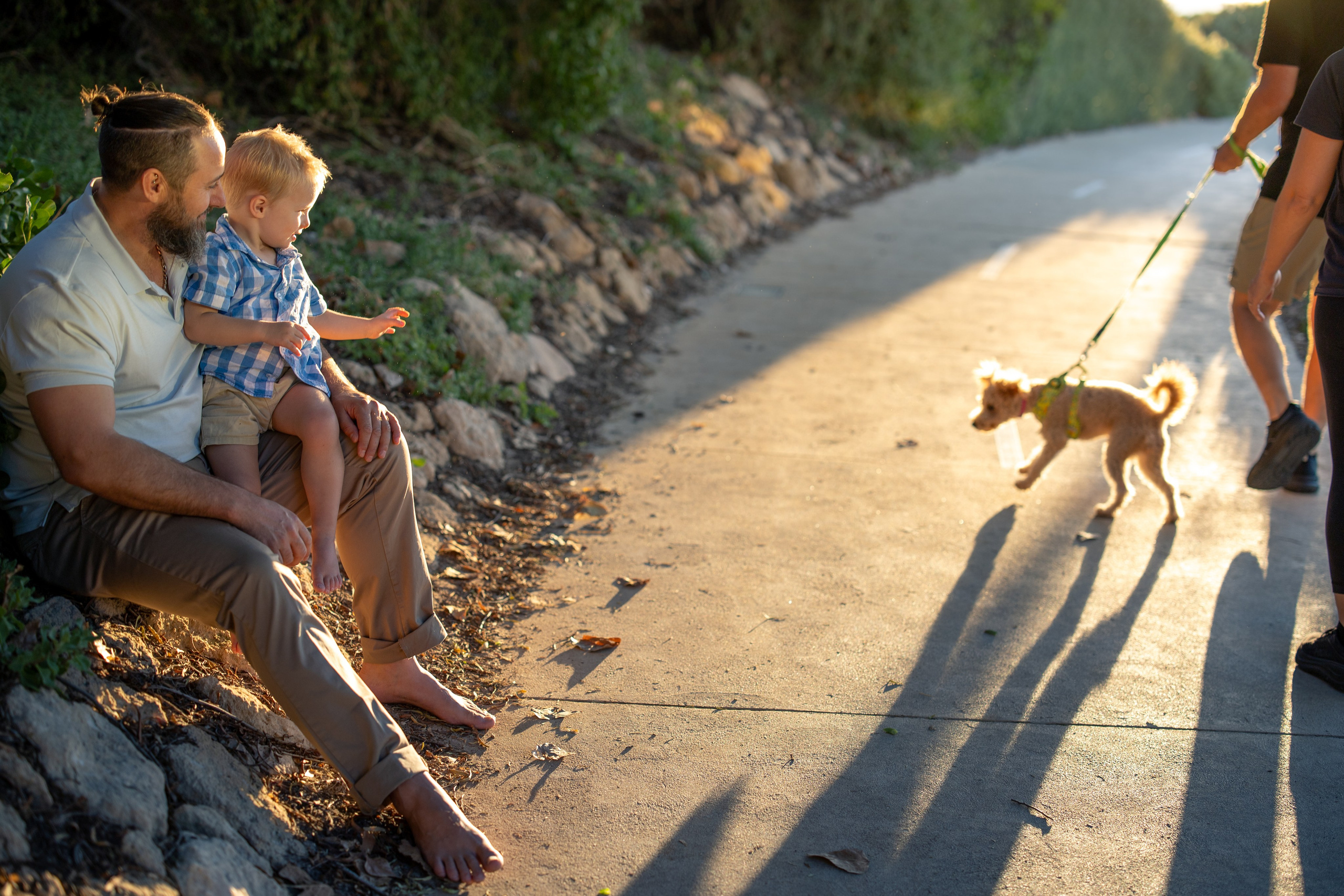 Photos from different family photoshoots
