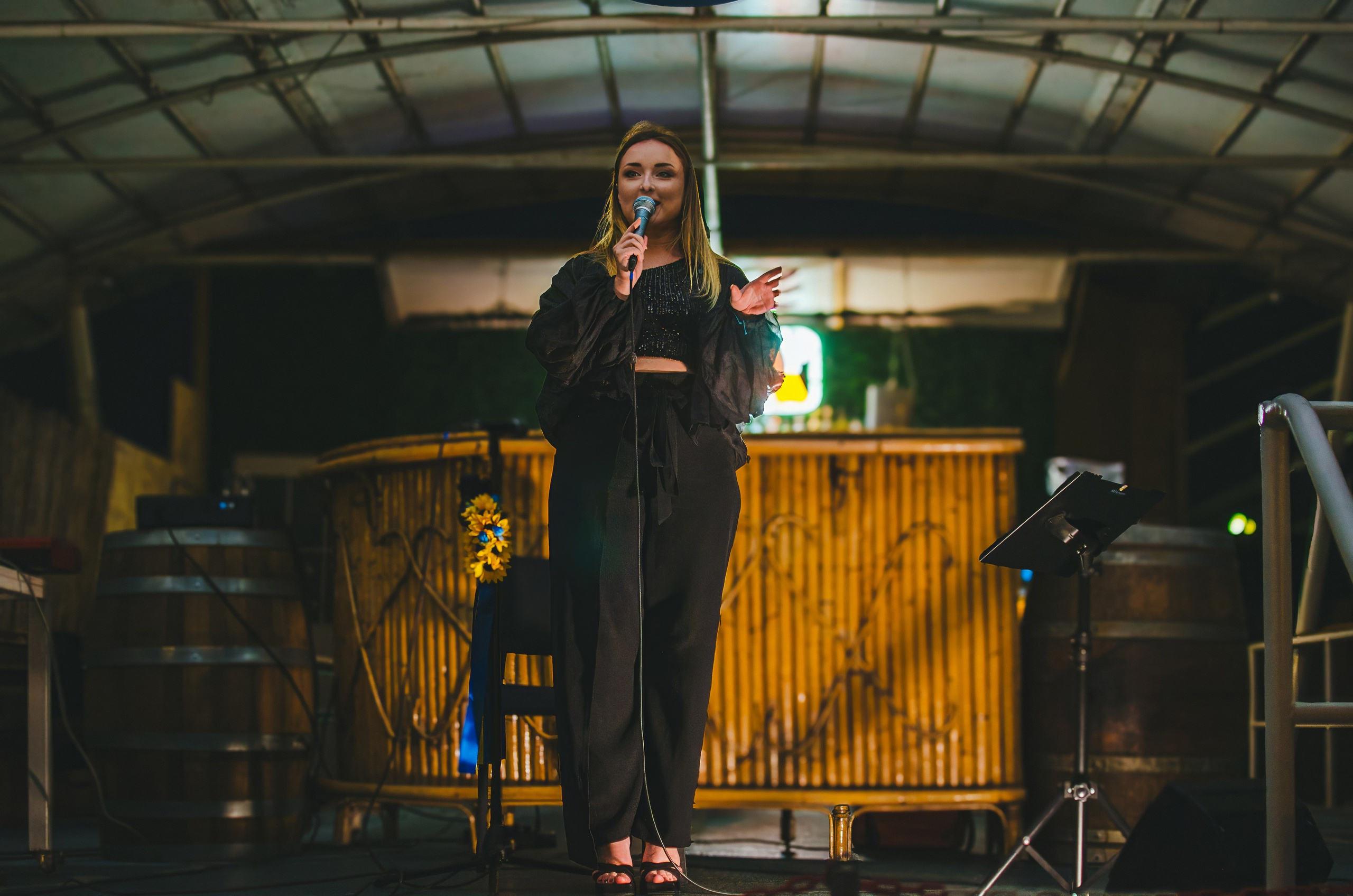 Musical house concerts. Event photographer Alena Iurchenko