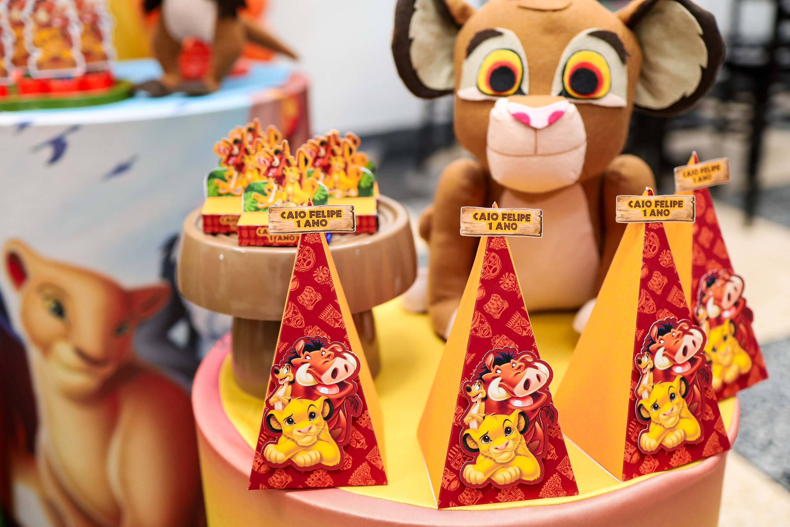 Festa Infantil. Fotógrafo de momentos Sagrados