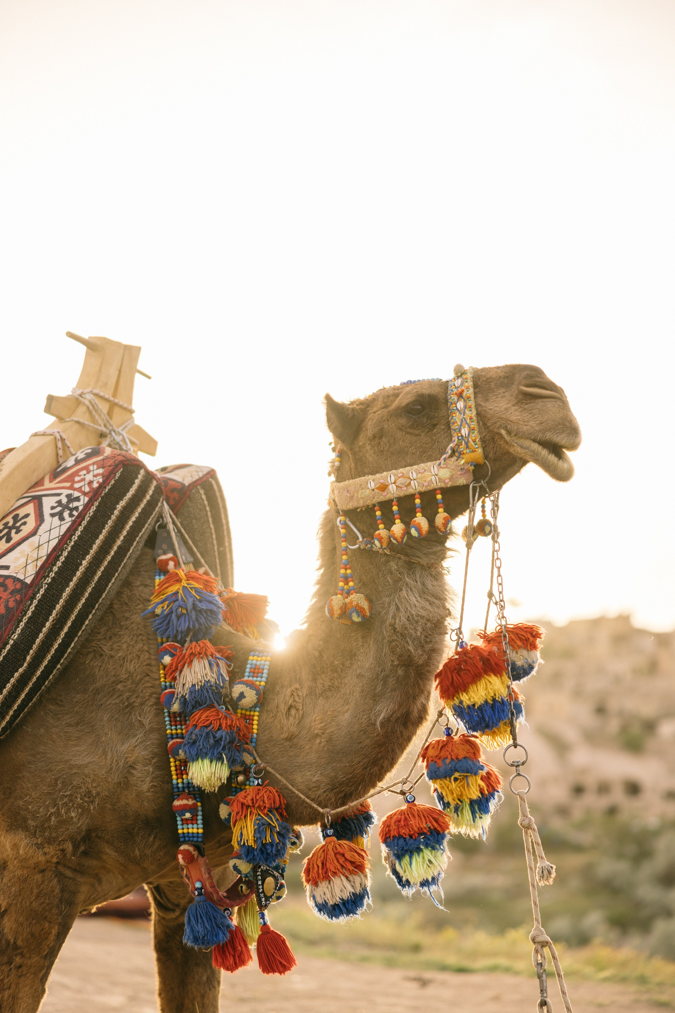 Paul & Jill. Фотограф в Каппадокии / Julia Ganch