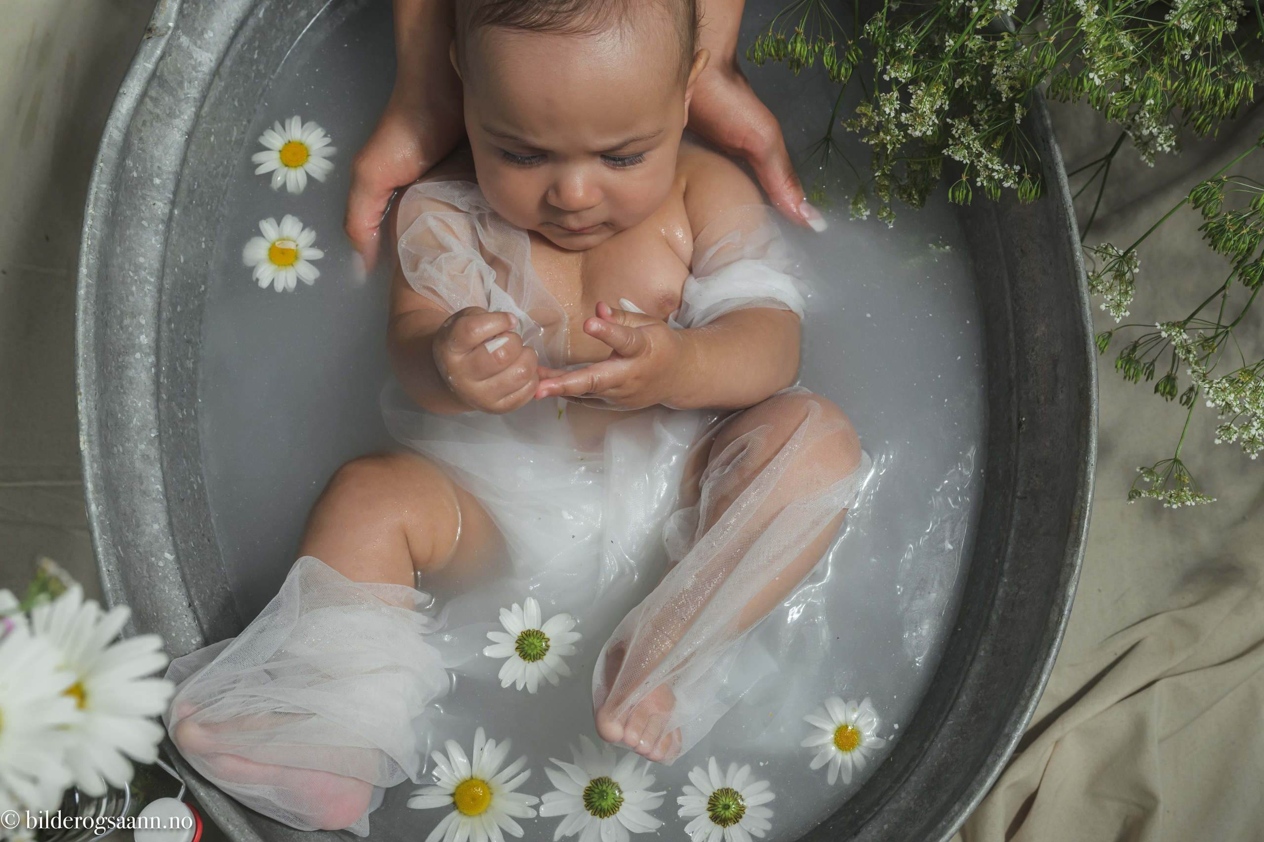 Barn- og familiefotografering. Familiefotograf i Narvik kommune