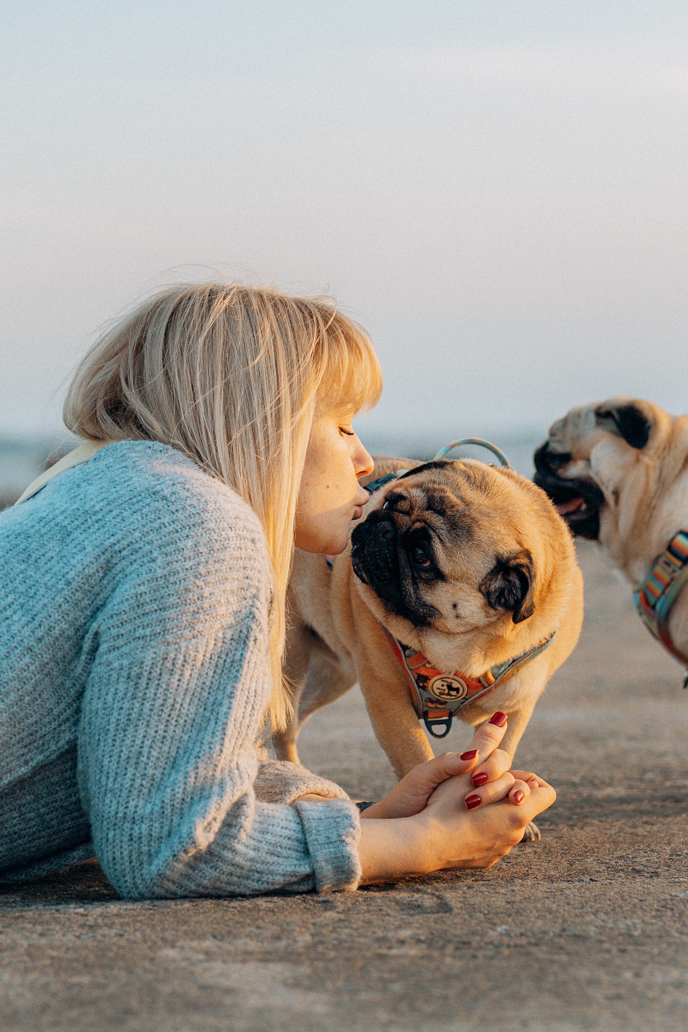 Frank, Tony, Katerina & Lev. Kat Laisaar — Pet photographer in Tallinn