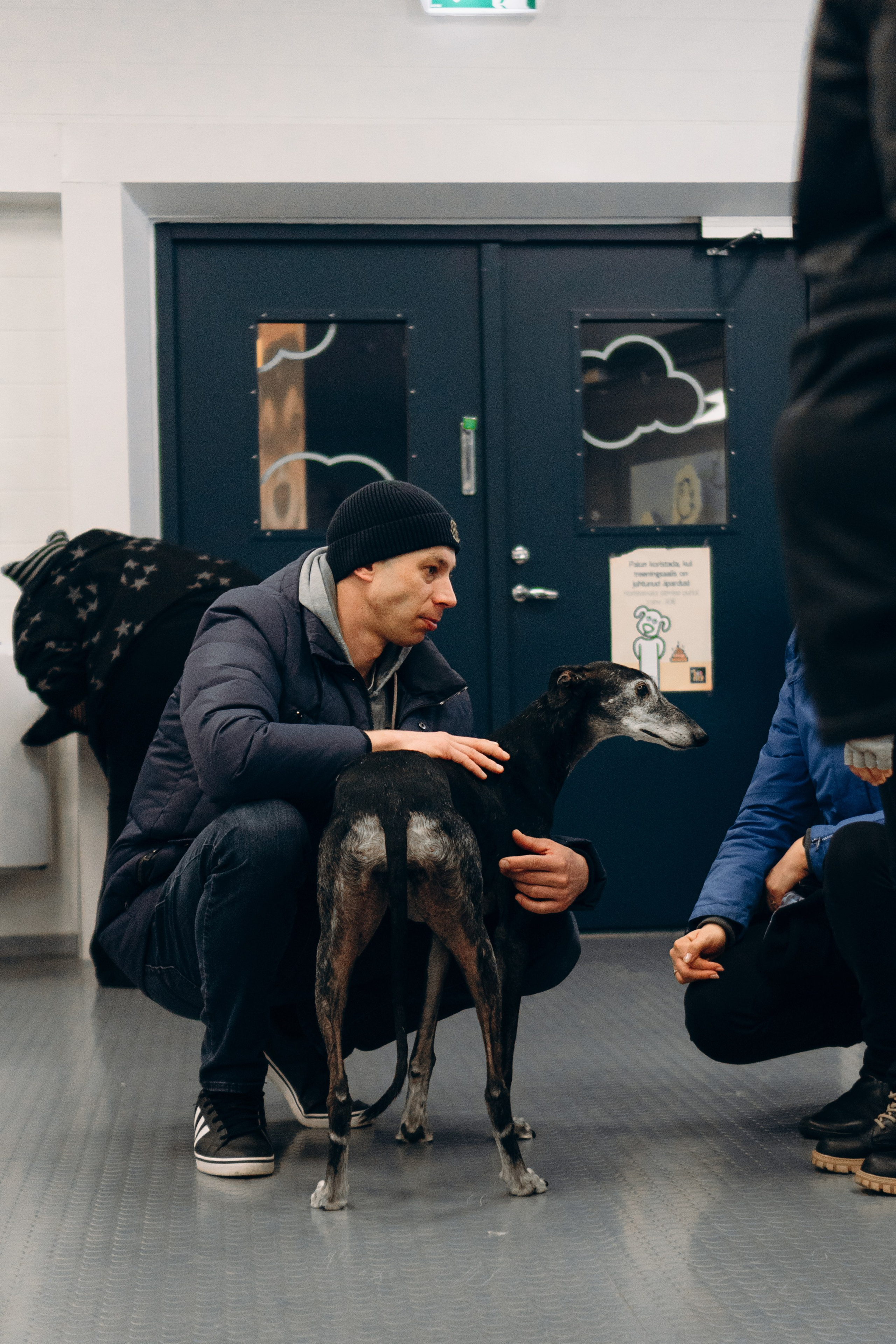 GalgoTreff / PetCity Rannamõisa, 13 apr. 2025. Kat Laisaar — Pet photographer in Tallinn