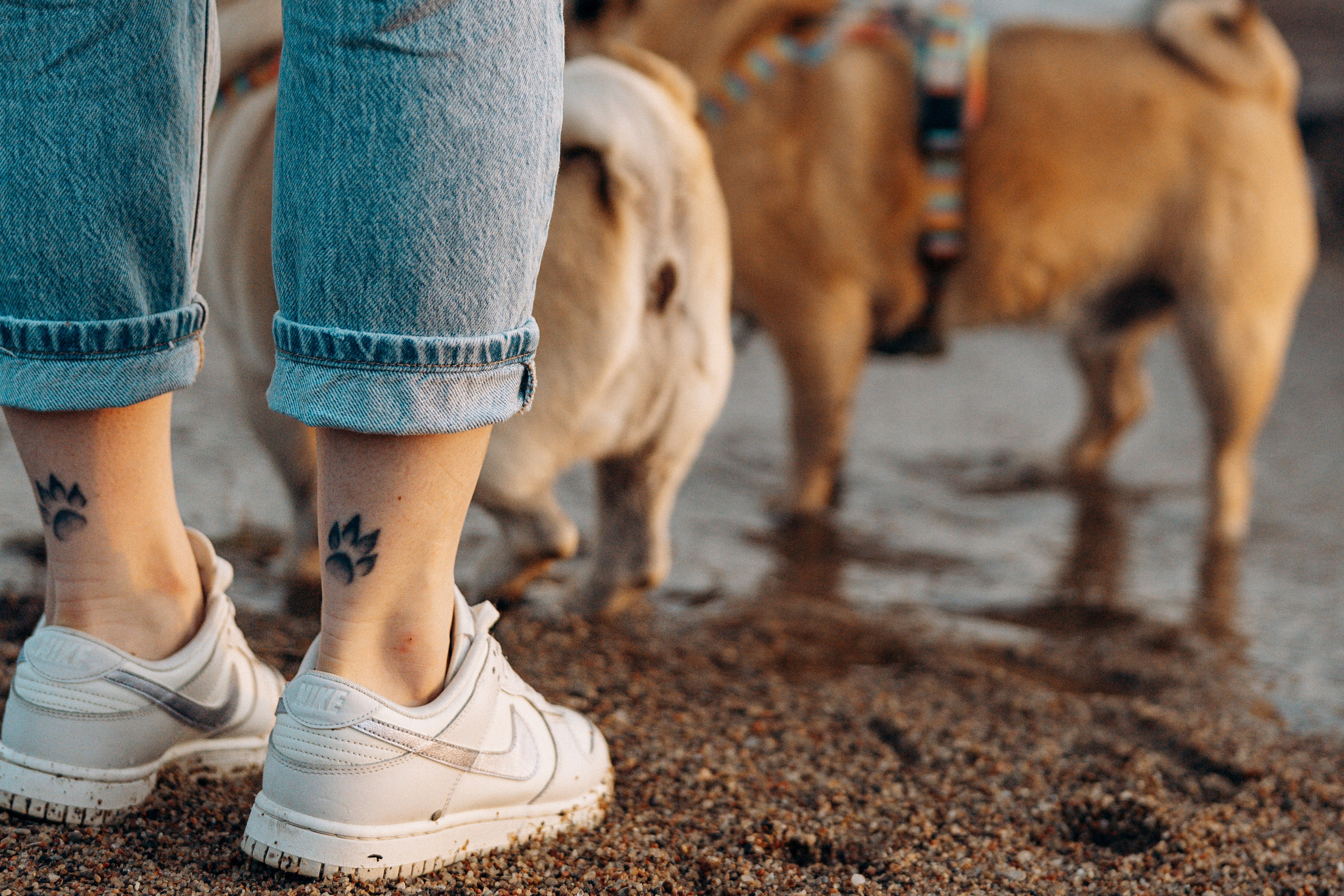 Frank, Tony, Katerina & Lev. Kat Laisaar — Pet photographer in Tallinn