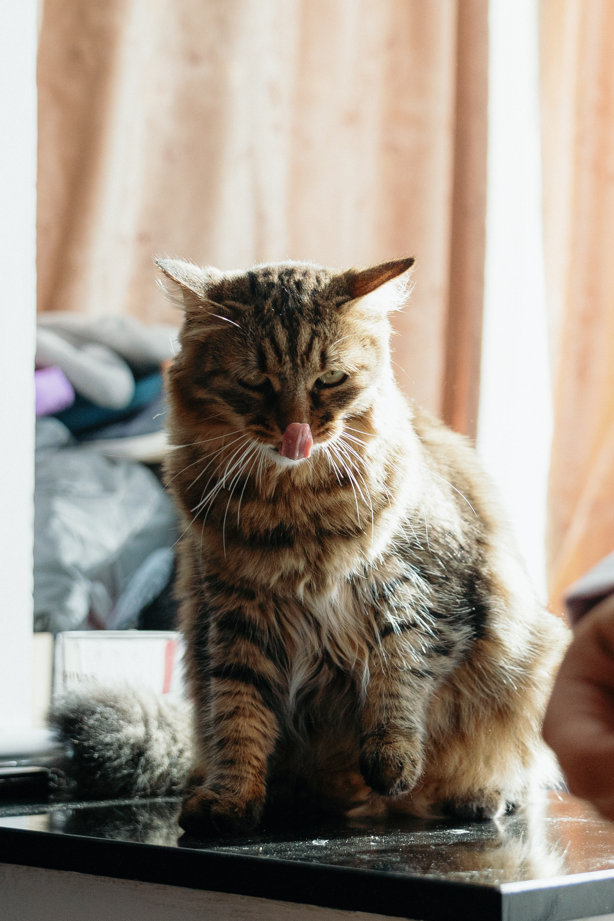 Andreea & Emanuel. STORYCATCHERS