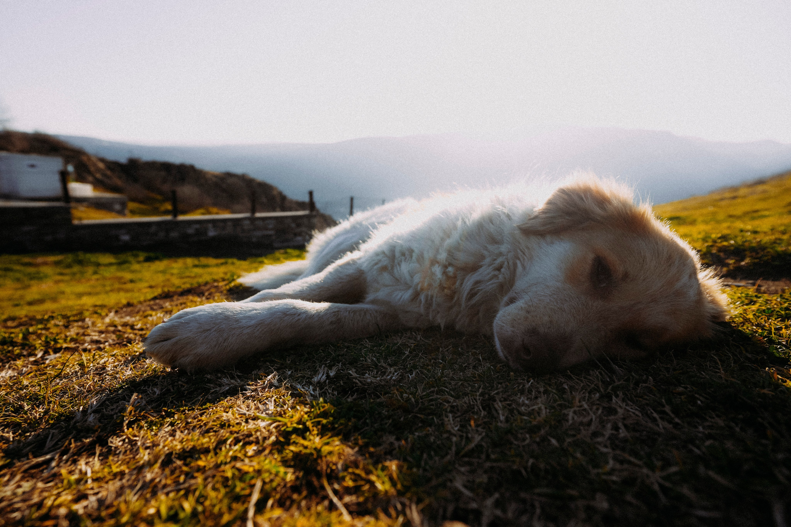 ТБИЛИСИ 2023-2024. Стрит-фотография, полная абсурда, идиотизма и красоты