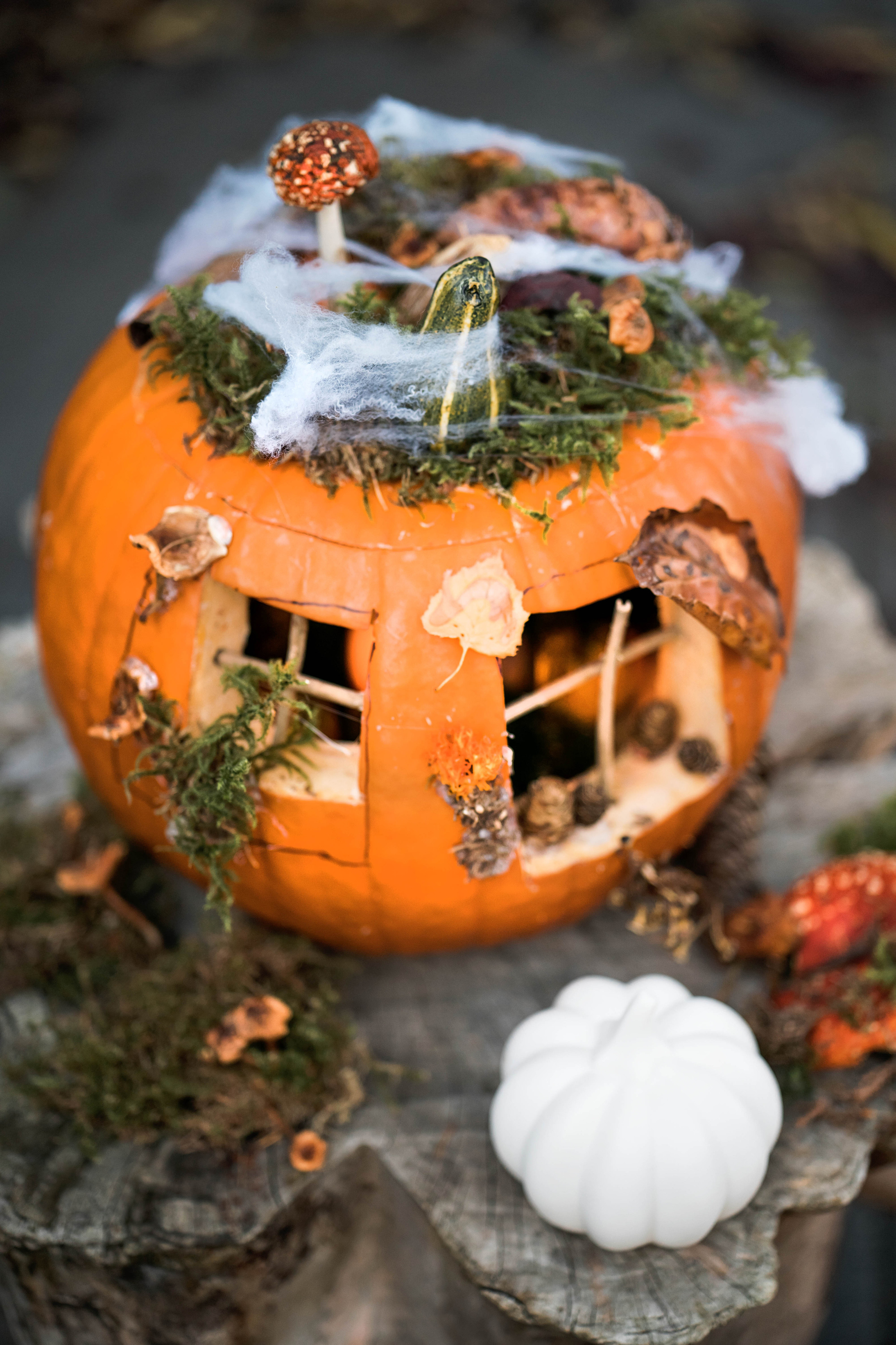 Halloween witch. Family, Lifestyle and Portrait photograher in Trier, Germany