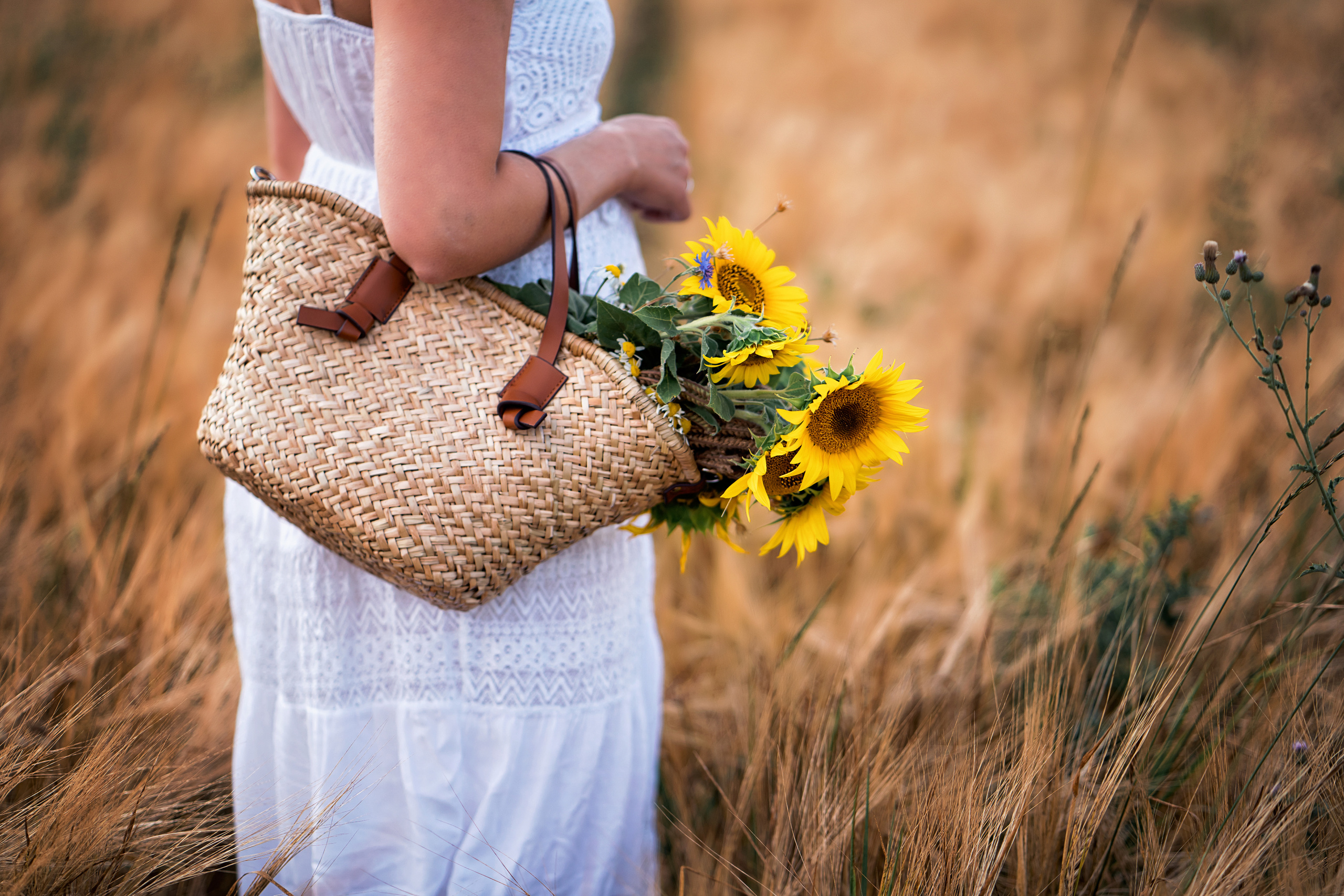 Portrait in the summer evening. Family, Lifestyle and Portrait photograher in Trier, Germany