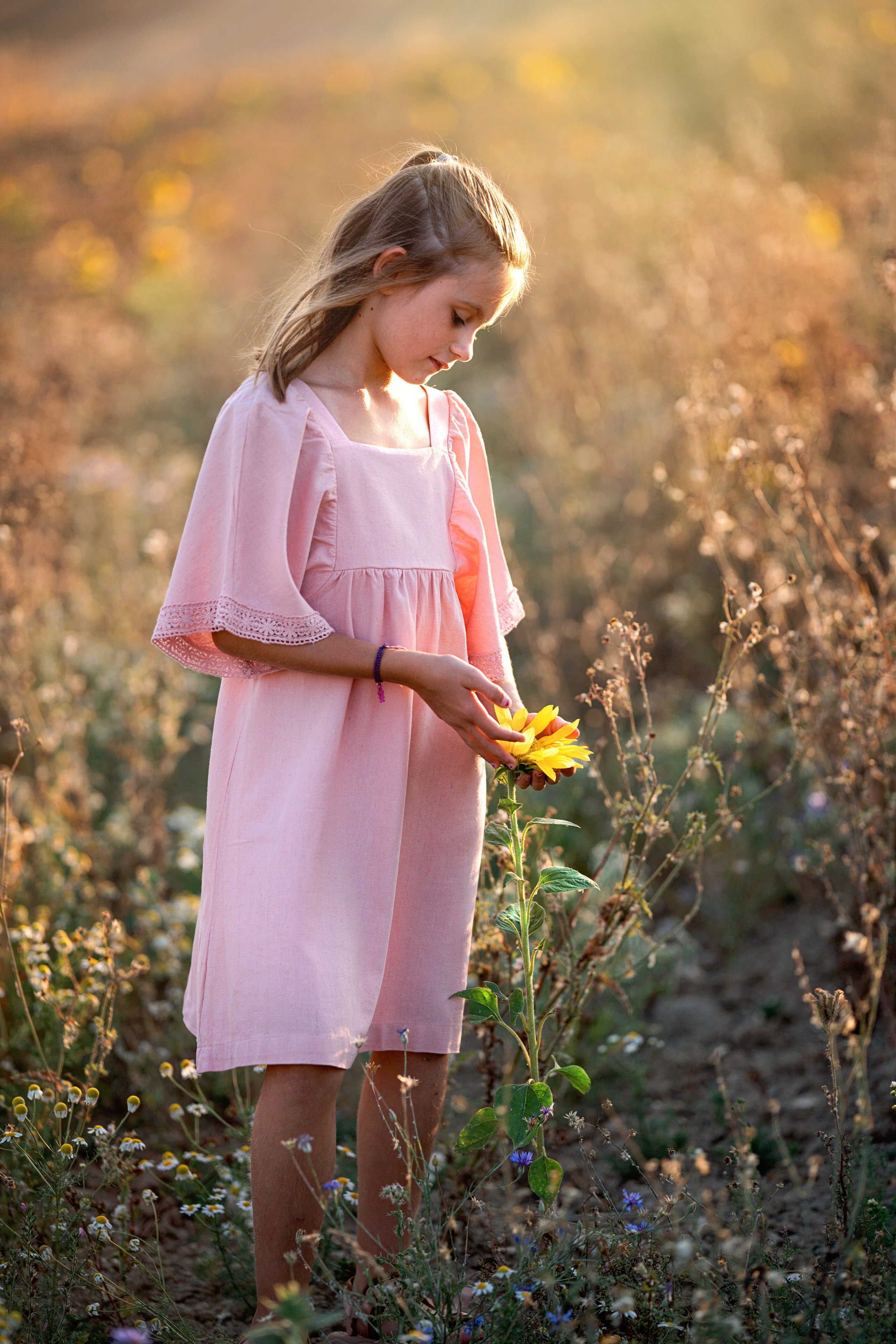 Summer fields. Family, Lifestyle and Portrait photograher in Trier, Germany