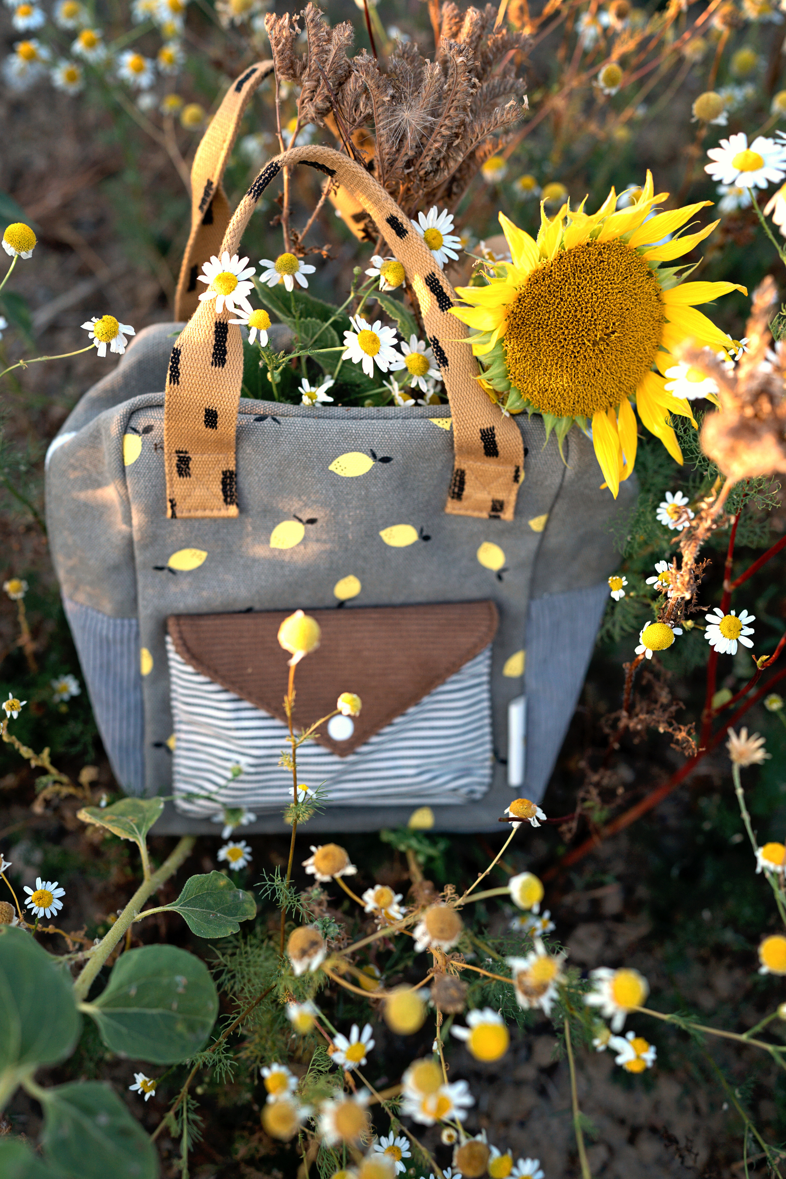 Summer fields. Family, Lifestyle and Portrait photograher in Trier, Germany