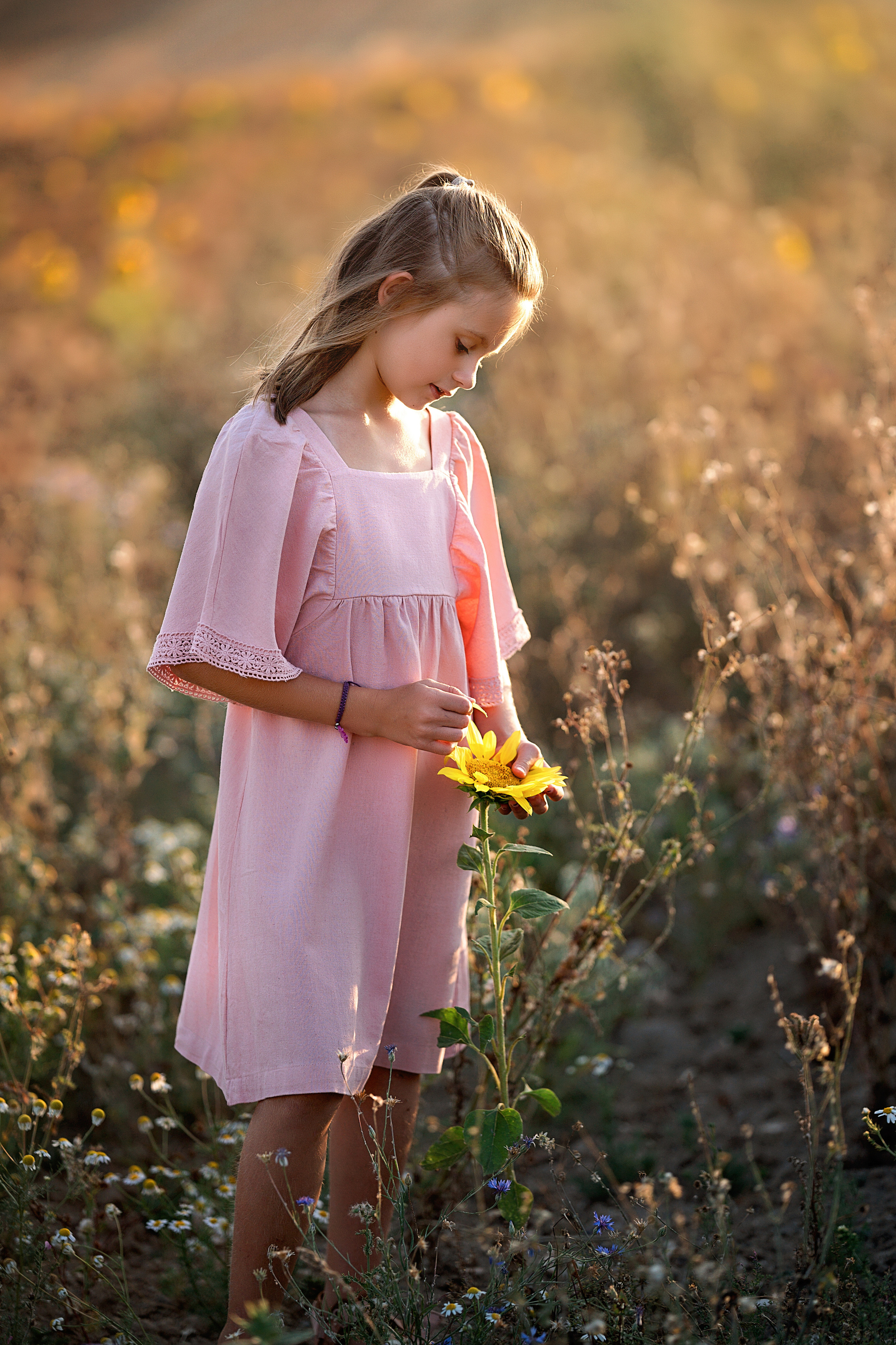 Summer fields. Family, Lifestyle and Portrait photograher in Trier, Germany