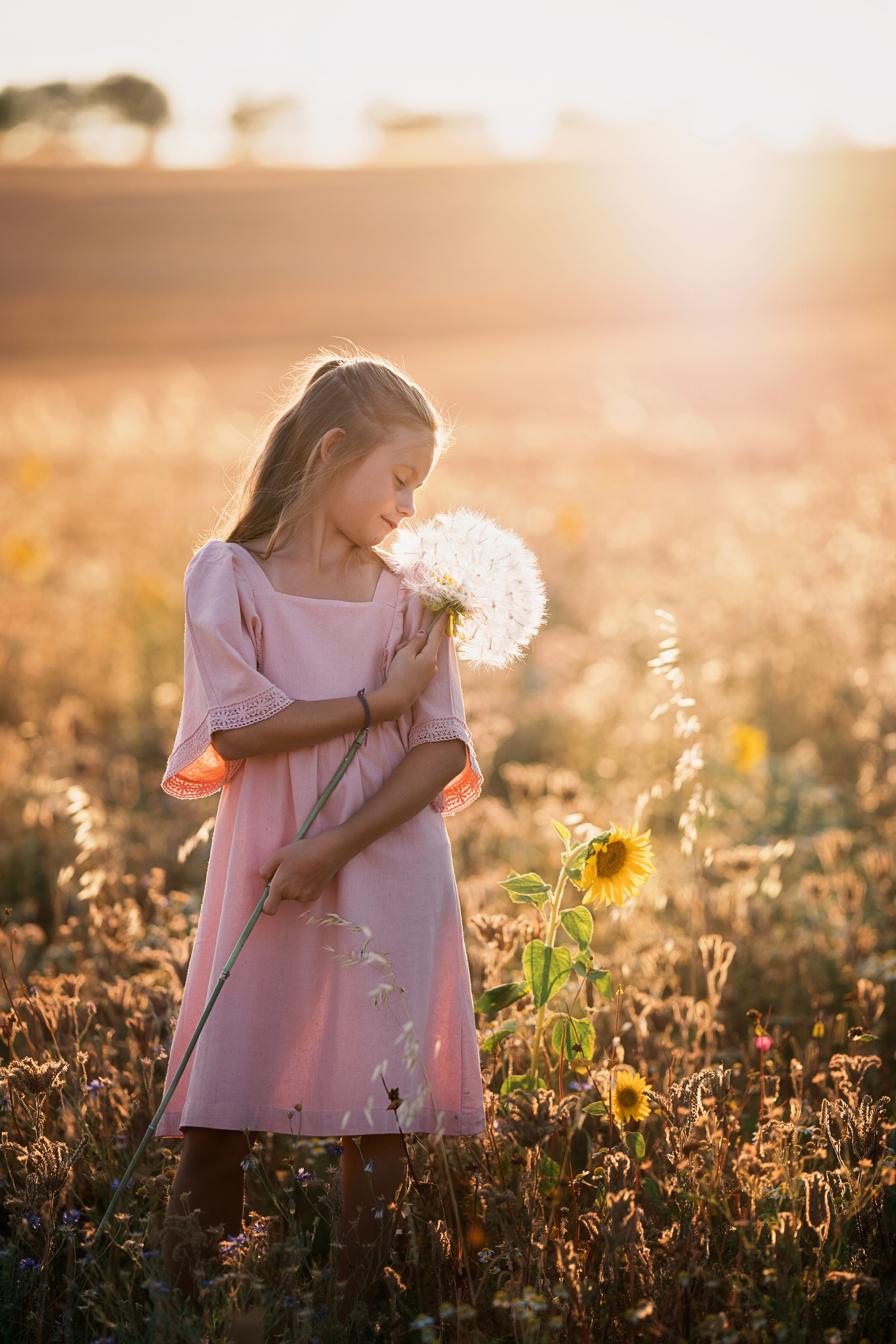 Summer fields. Family, Lifestyle and Portrait photograher in Trier, Germany