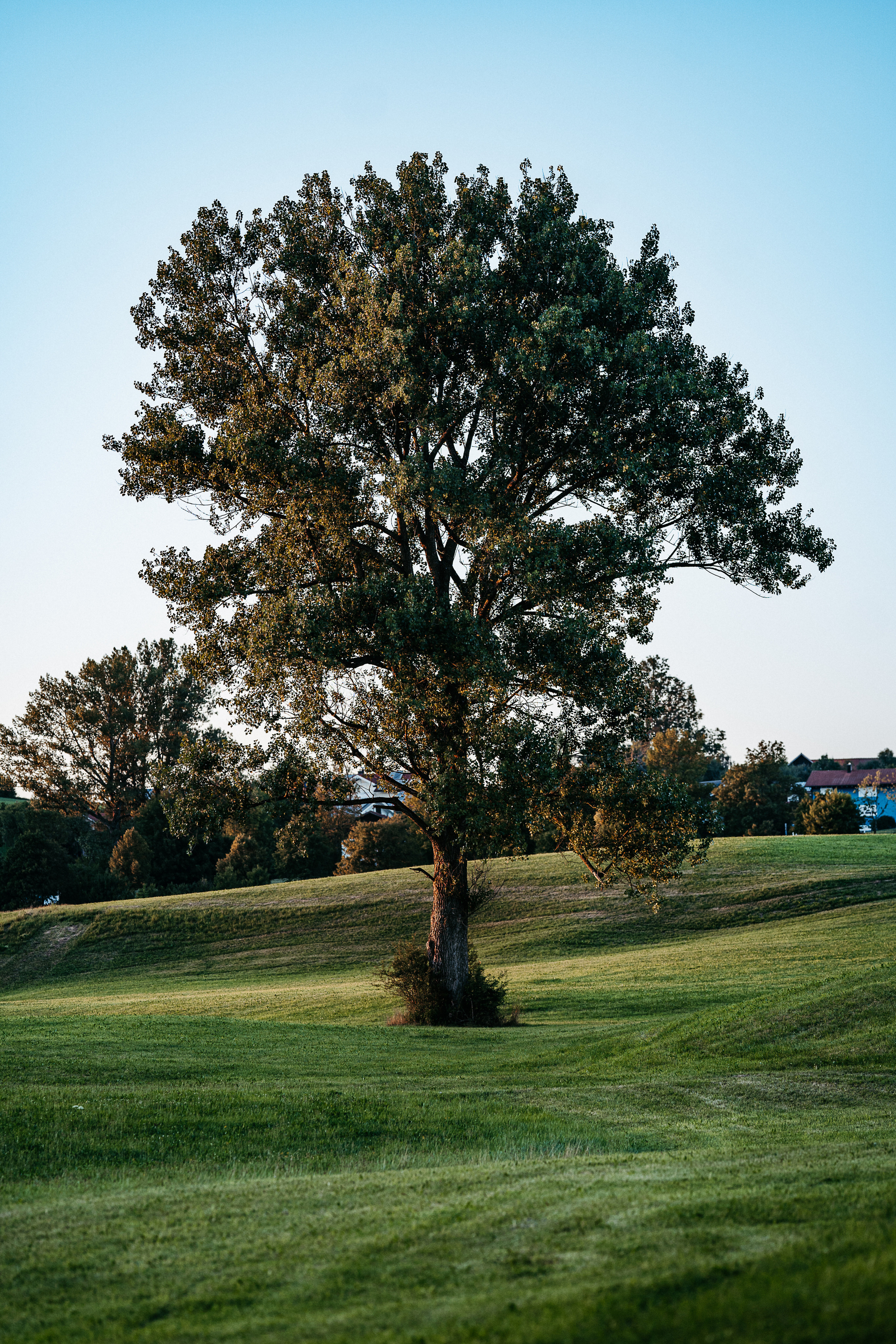 С бабушкой и дедушкой. Семейный, детский и женский фотограф в Германии, Трире