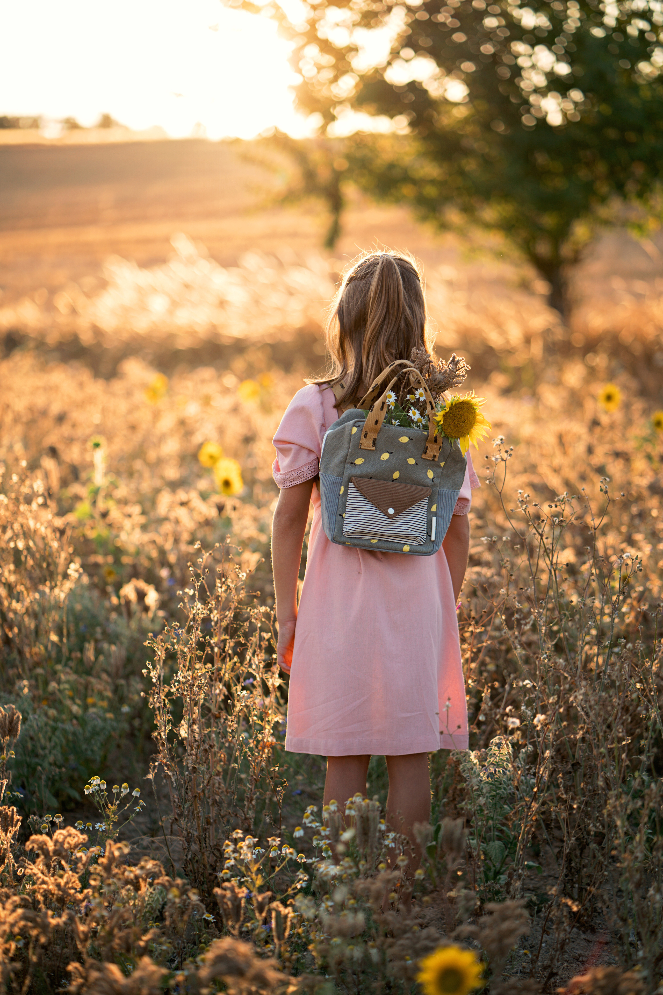 Summer fields. Family, Lifestyle and Portrait photograher in Trier, Germany
