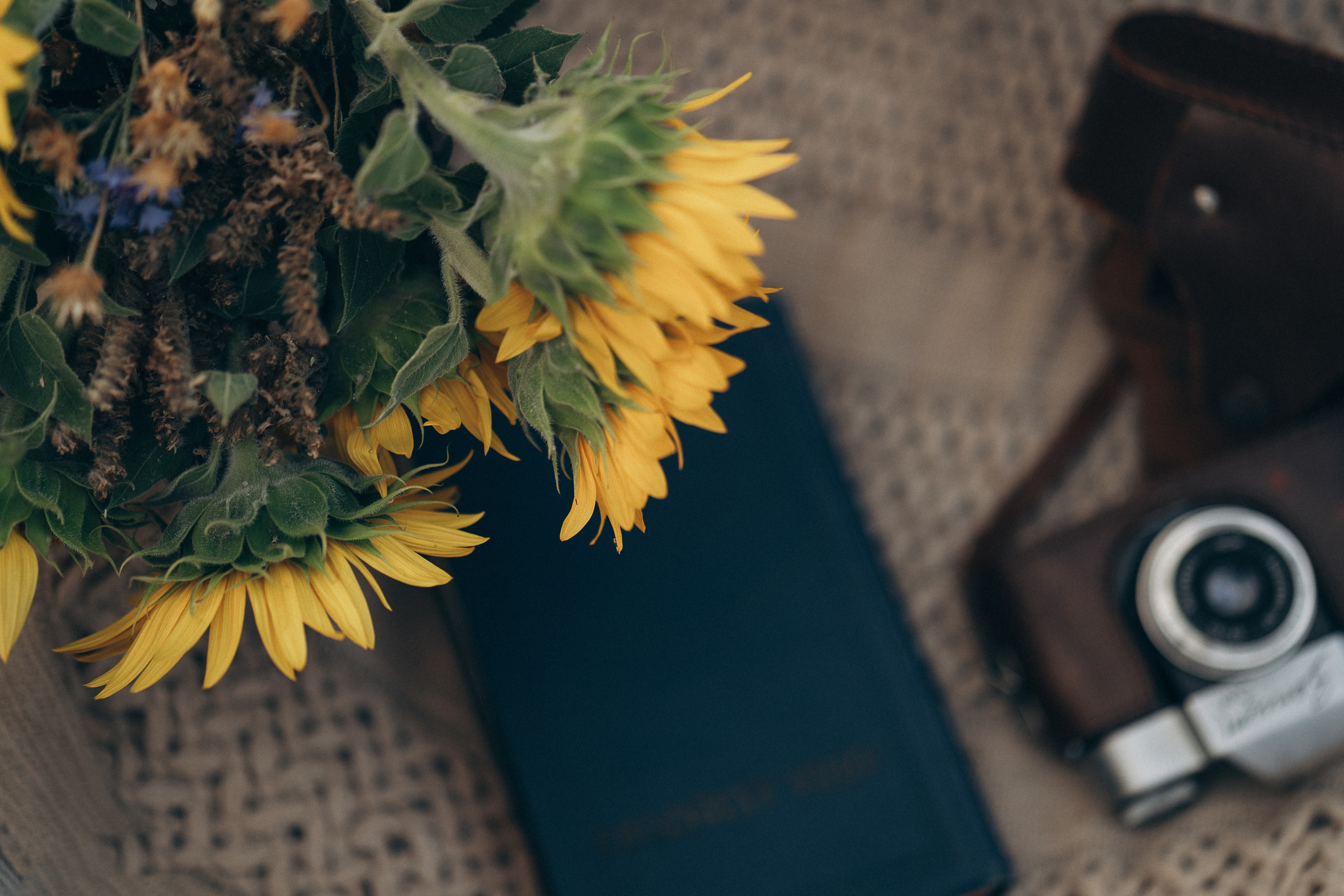Portrait in the summer evening. Family, Lifestyle and Portrait photograher in Trier, Germany