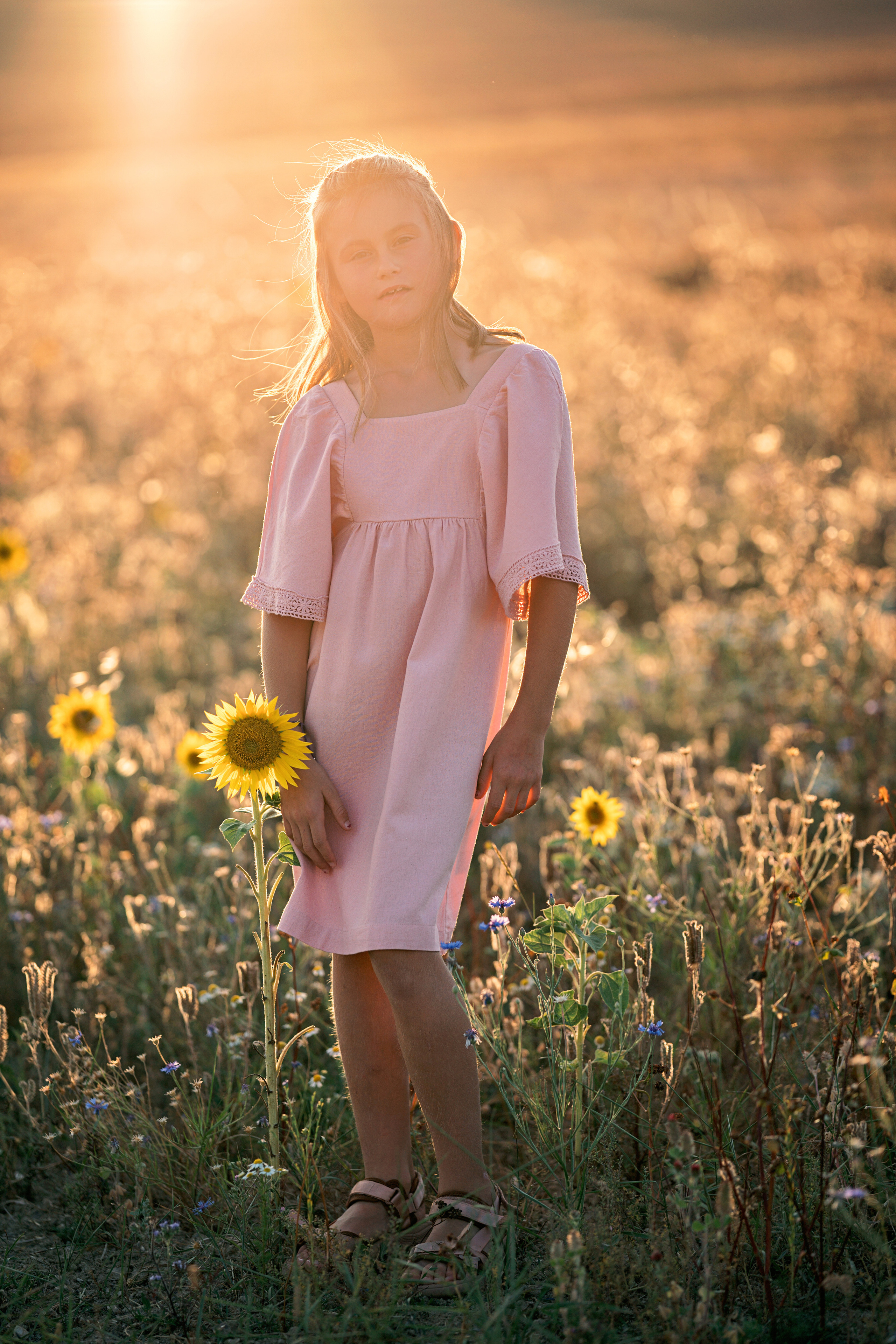 Summer fields. Family, Lifestyle and Portrait photograher in Trier, Germany