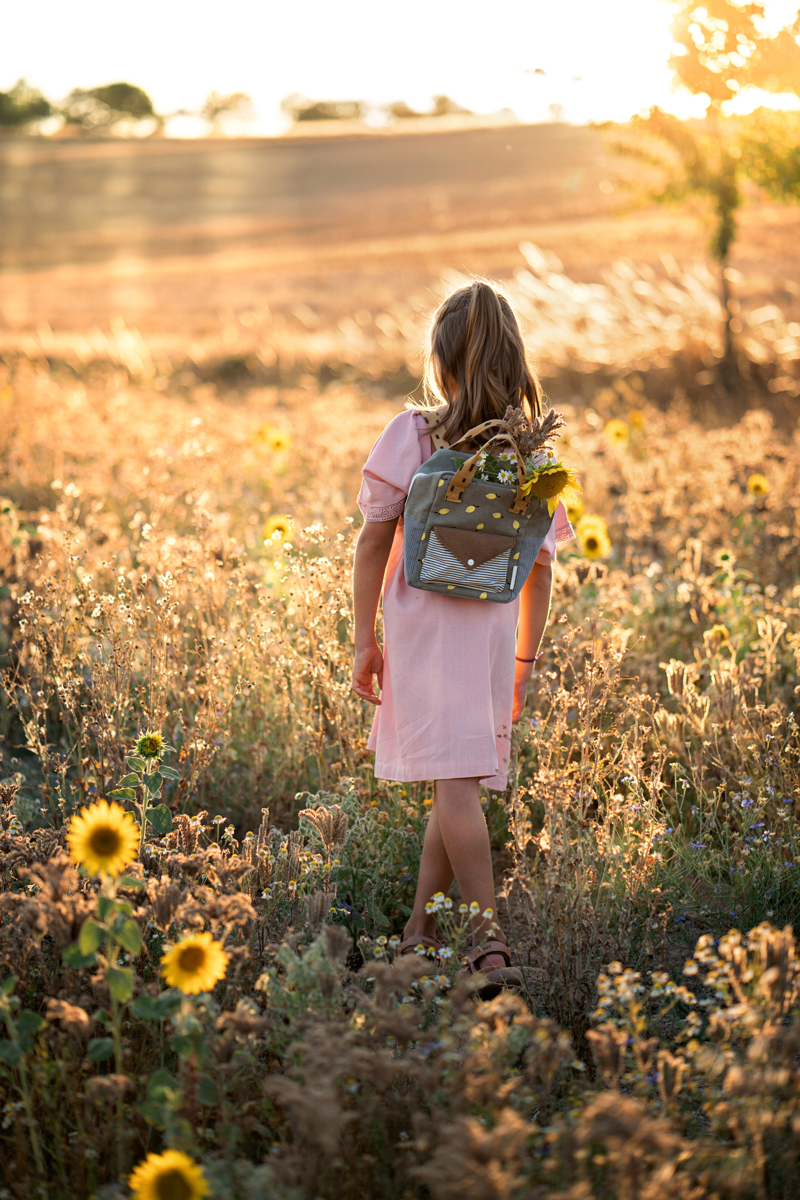 Summer fields. Family, Lifestyle and Portrait photograher in Trier, Germany