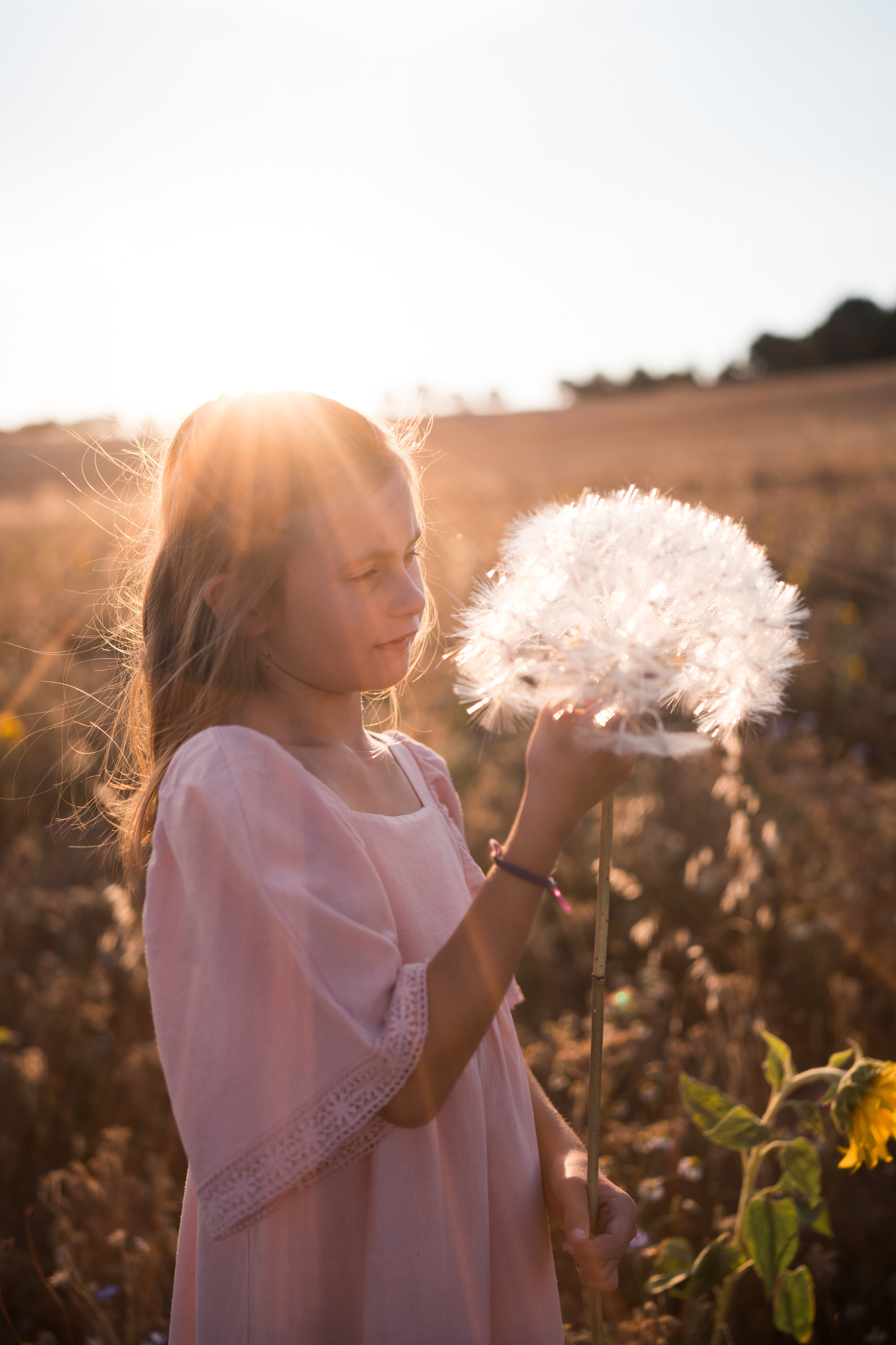 Summer fields. Family, Lifestyle and Portrait photograher in Trier, Germany