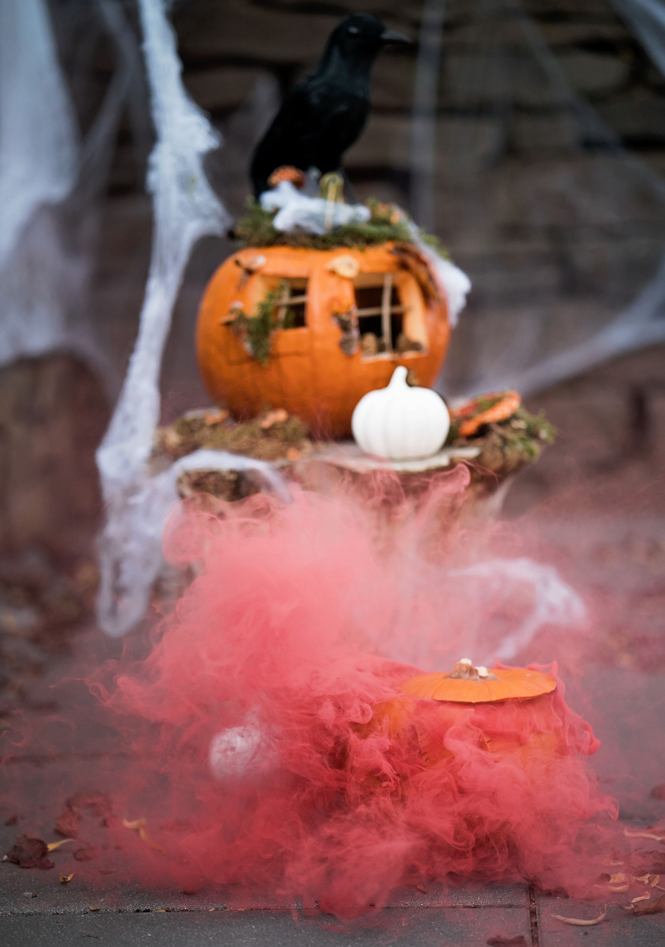 Halloween witch. Family, Lifestyle and Portrait photograher in Trier, Germany