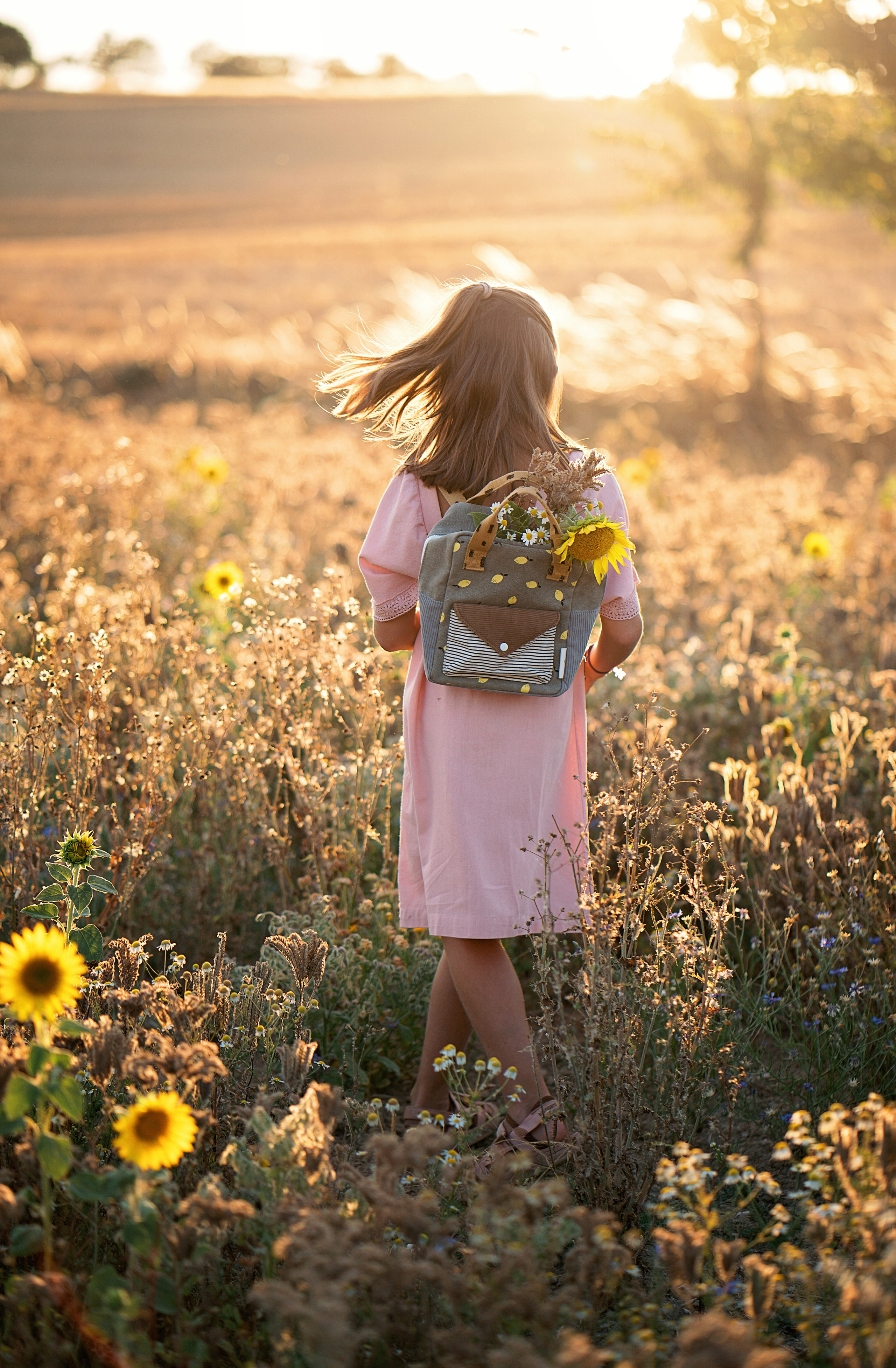 Summer fields. Family, Lifestyle and Portrait photograher in Trier, Germany