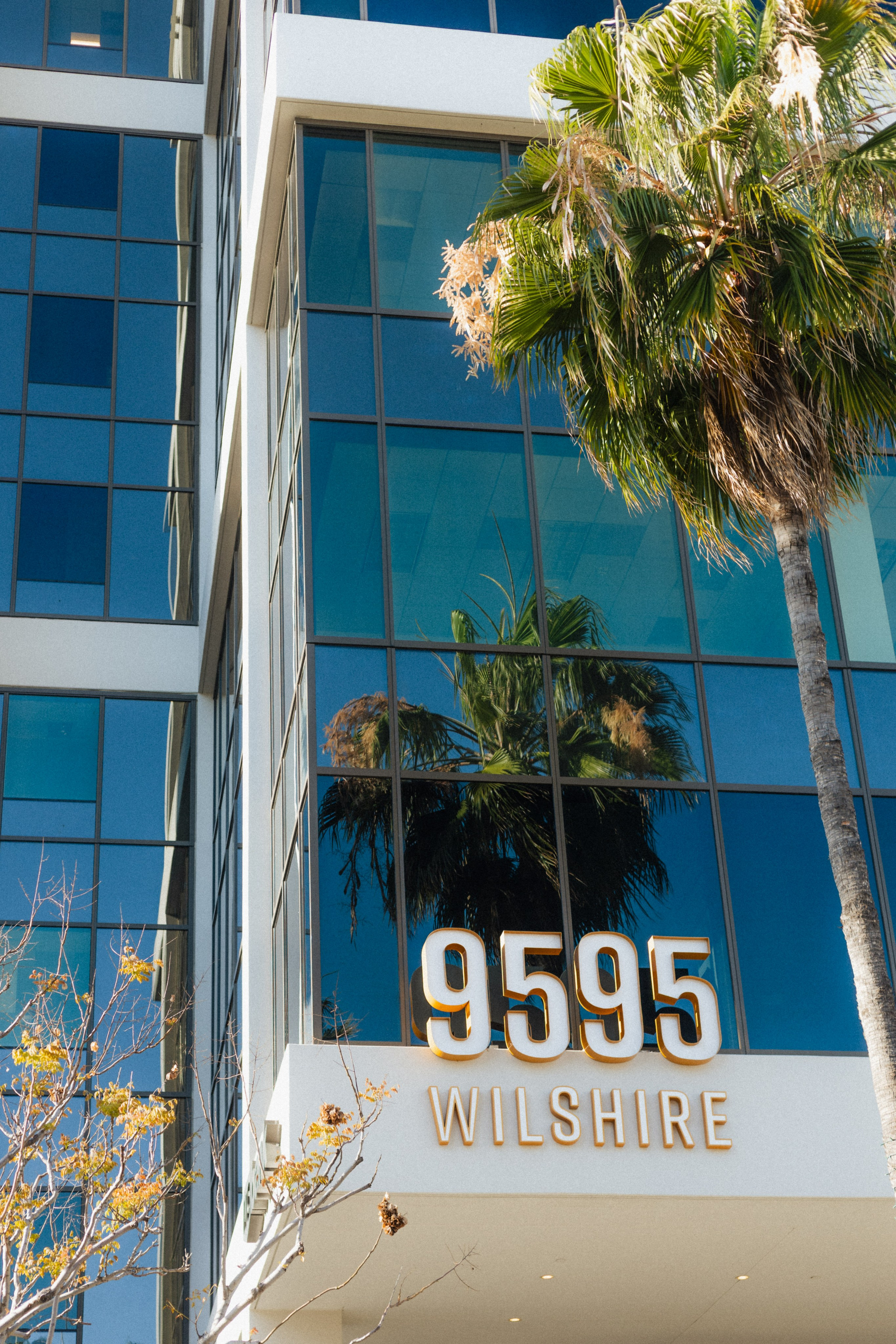 Los Angeles. Aleks.photo | Book a photoshoot