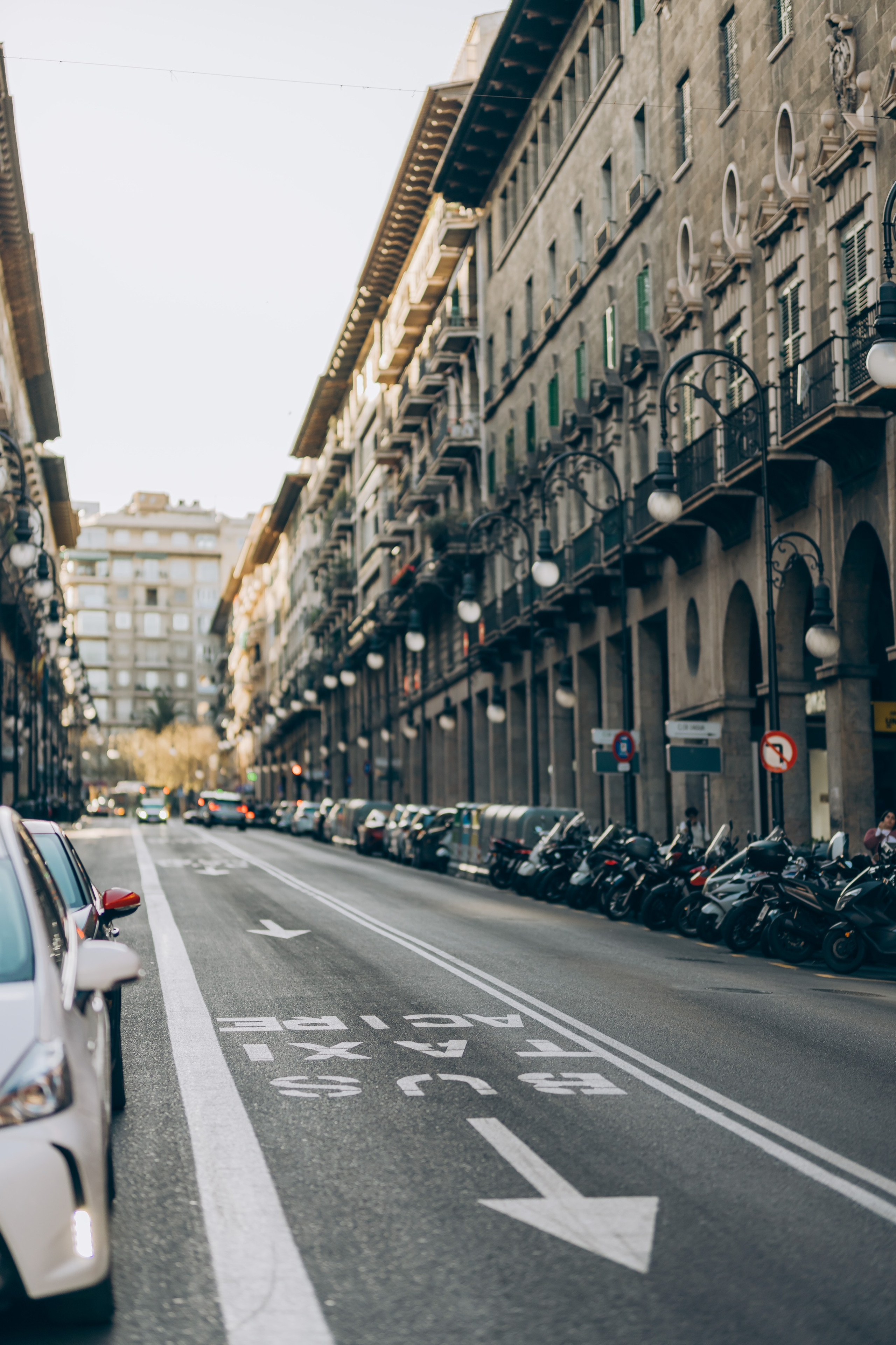 Spring in Palma. Fotógrafo en Palma de Mallorca