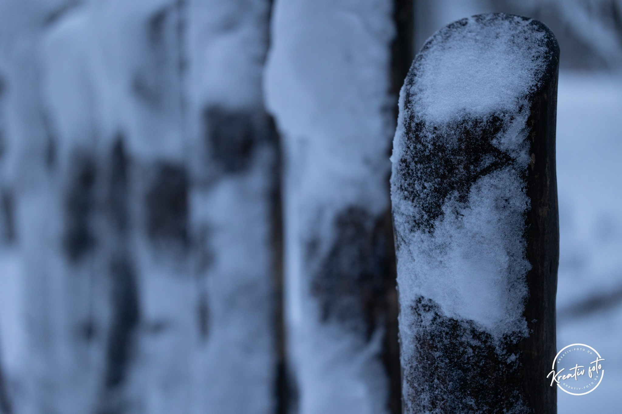 Vinter. Fotograf Aarhus | Portrætfoto Århus | Flotte billeder