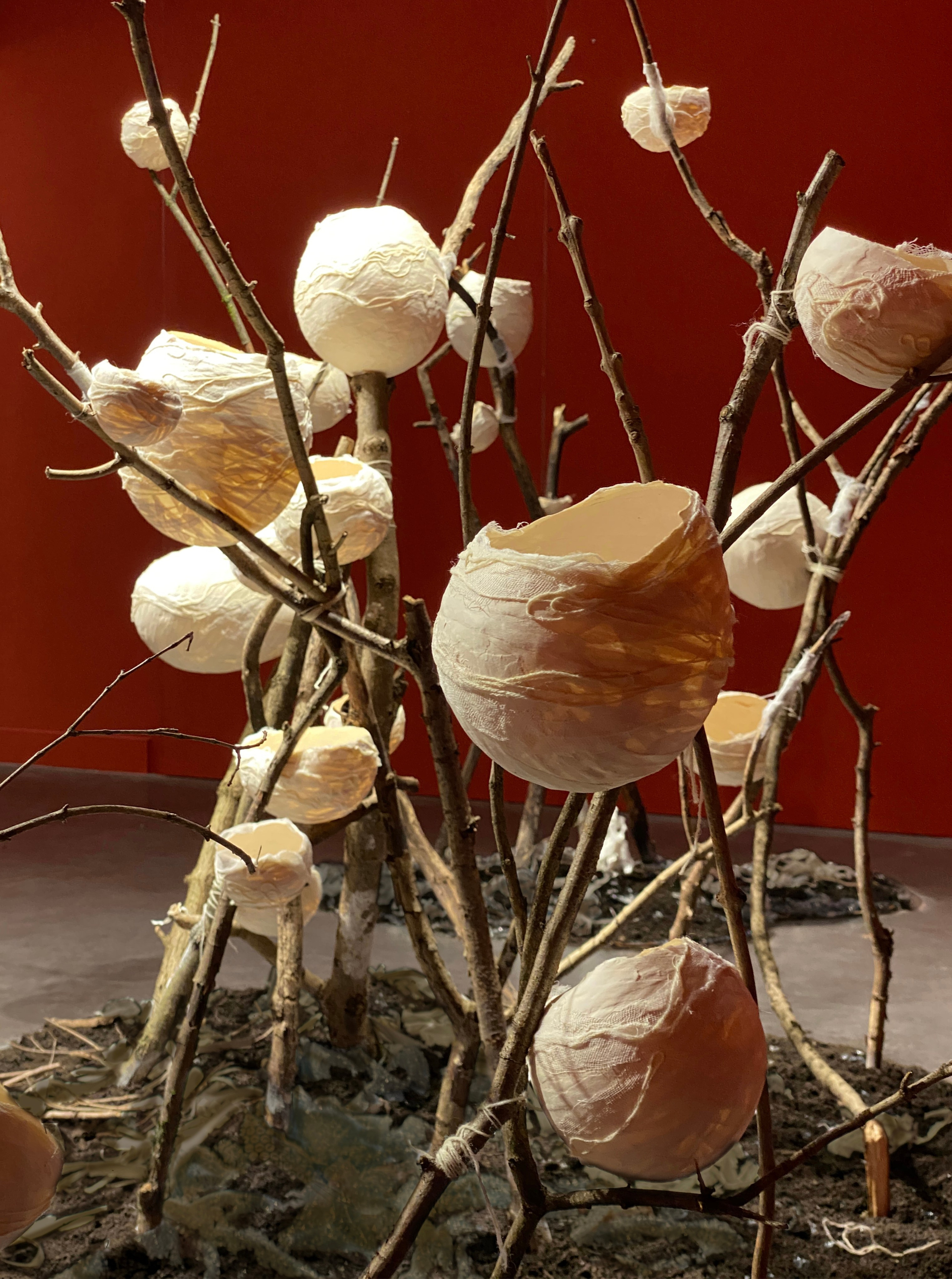 Le TRACé — Centre du Graphisme.2024. Yujoo HONG