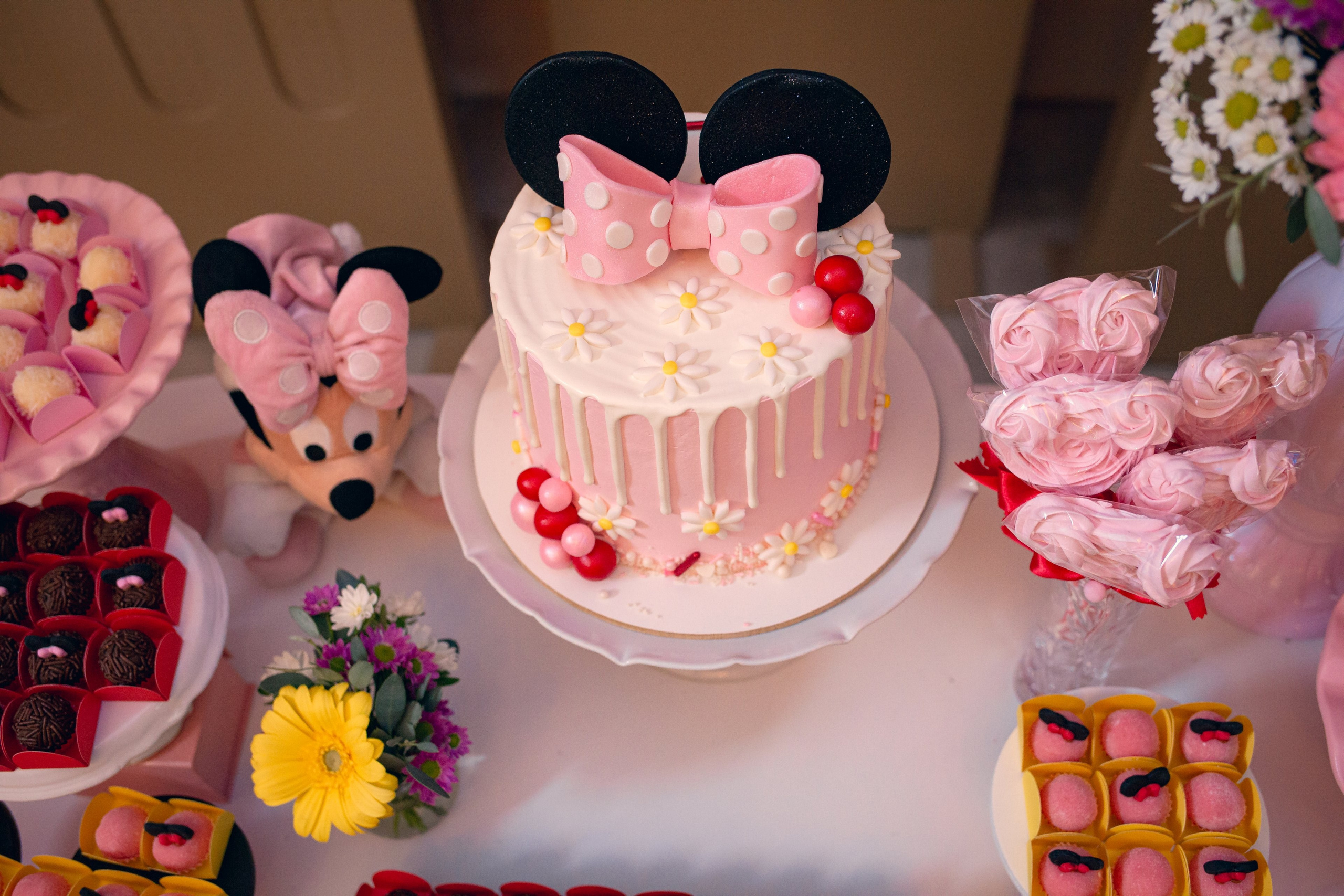 Iris 3 anos — 20/08/2022 — Casa Gaya Eventos. Luiz Medeiros Produções