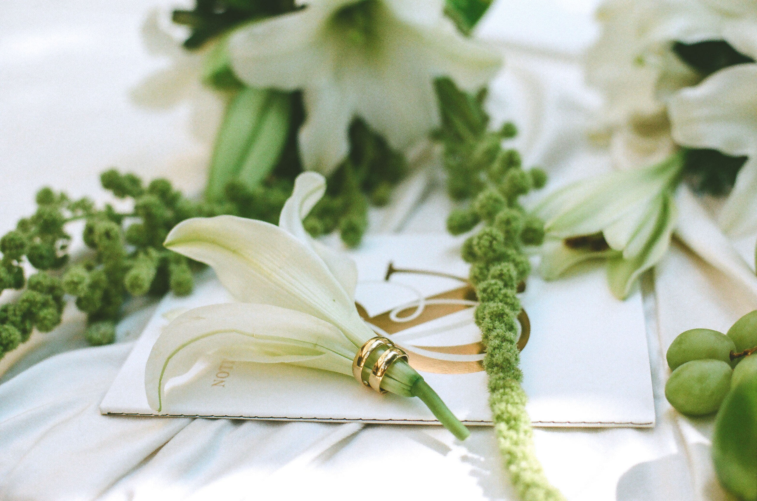 Samuele and Zlata. Liana Koll — Fashion Photographer Milan, Como, Varese, Novara