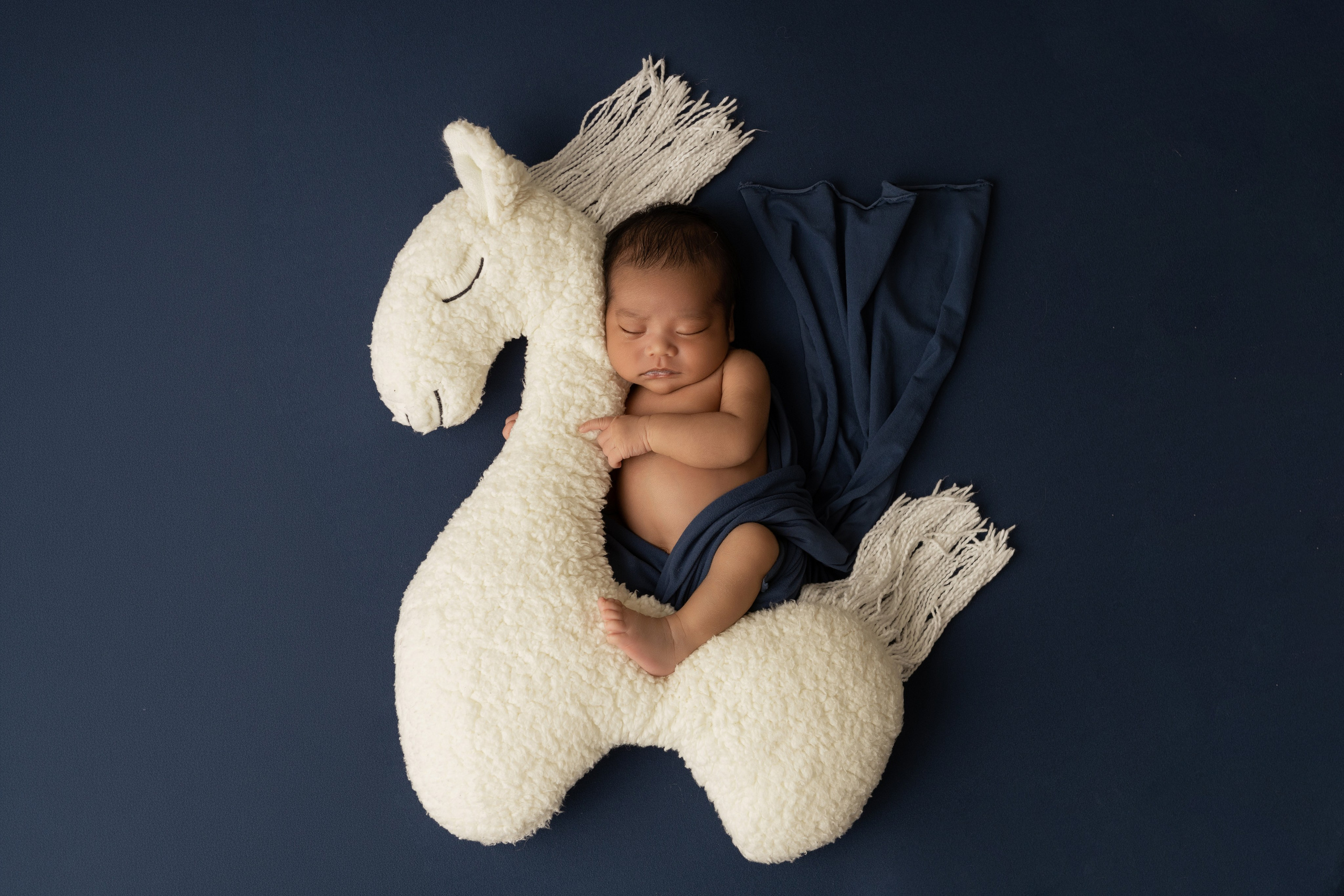 Newborn Classic. Family photographer in Bay Area, California