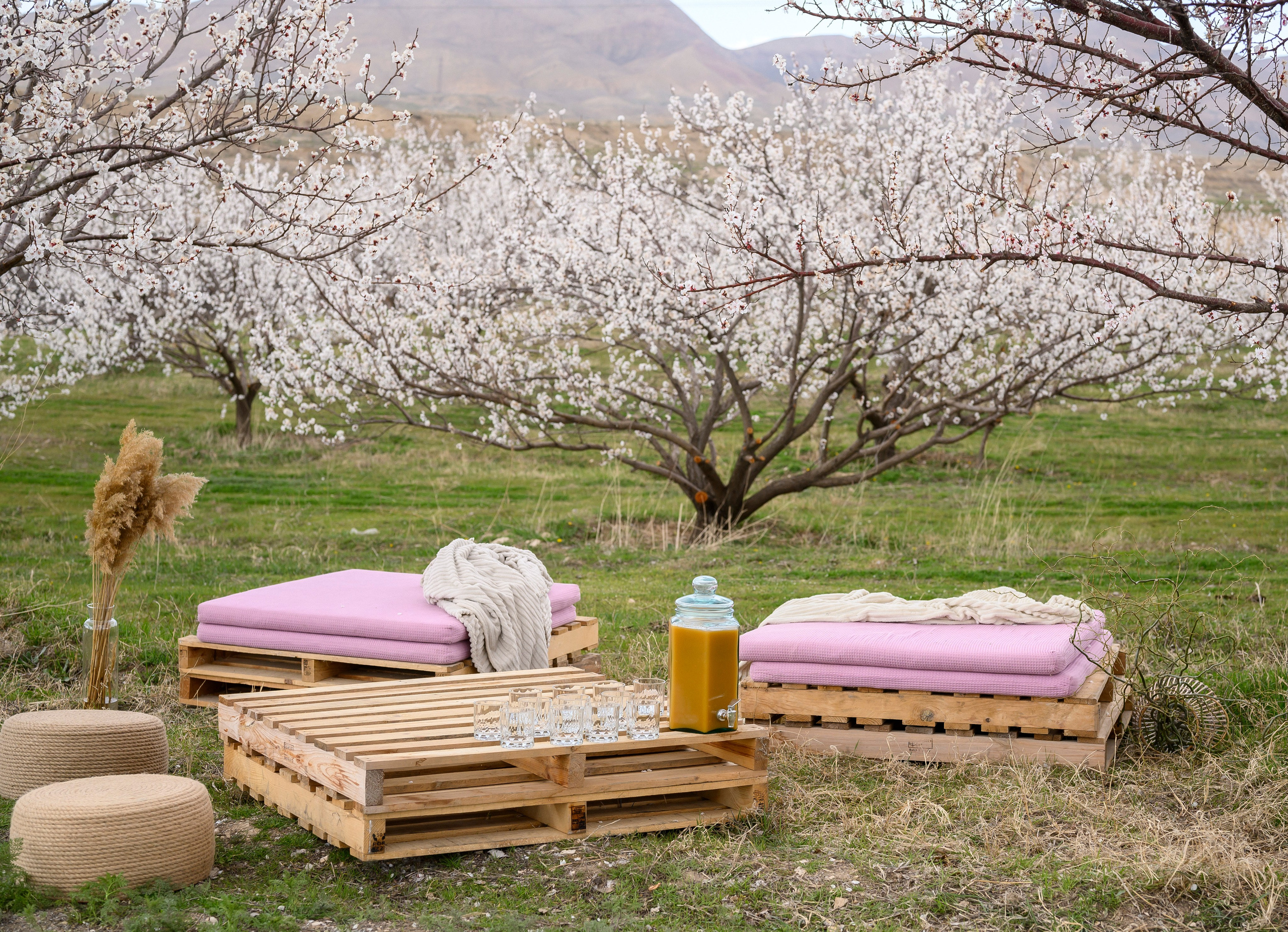 РЕПОРТАЖ. Фотограф в Ереване Карина Тоноян