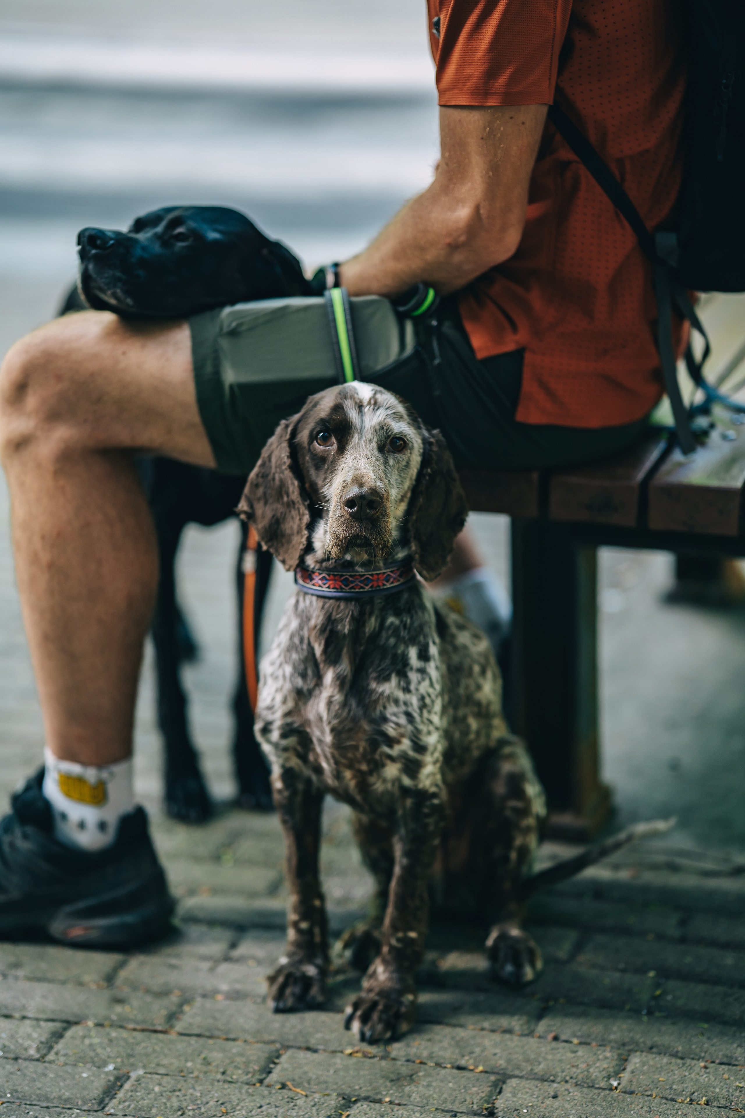 Street photo. Uvarovsphoto