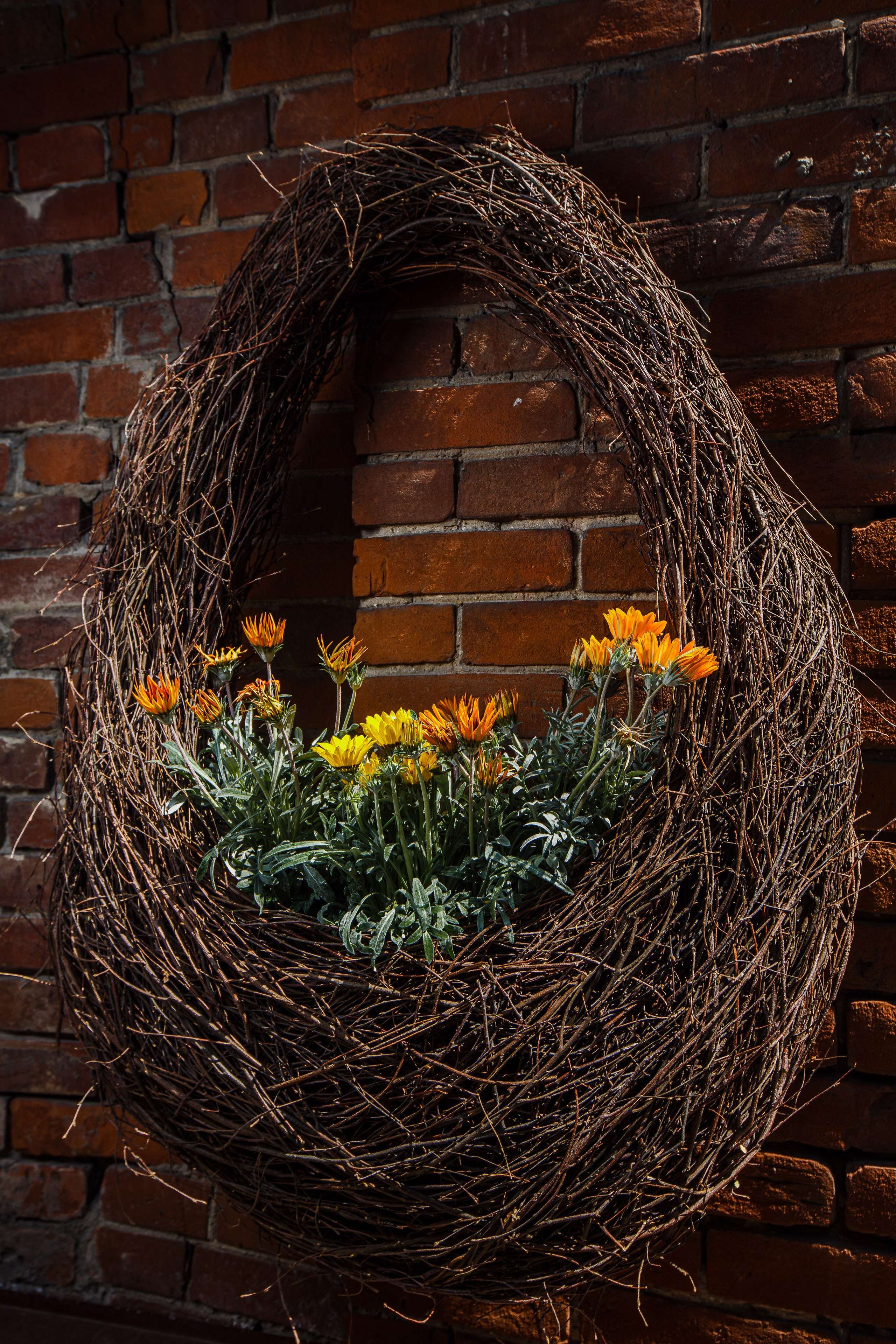 Fotos de ramos de flores. Fotógrafo de retrato, familia y reportajes en Valencia | España | Europa Vitalii Lumier