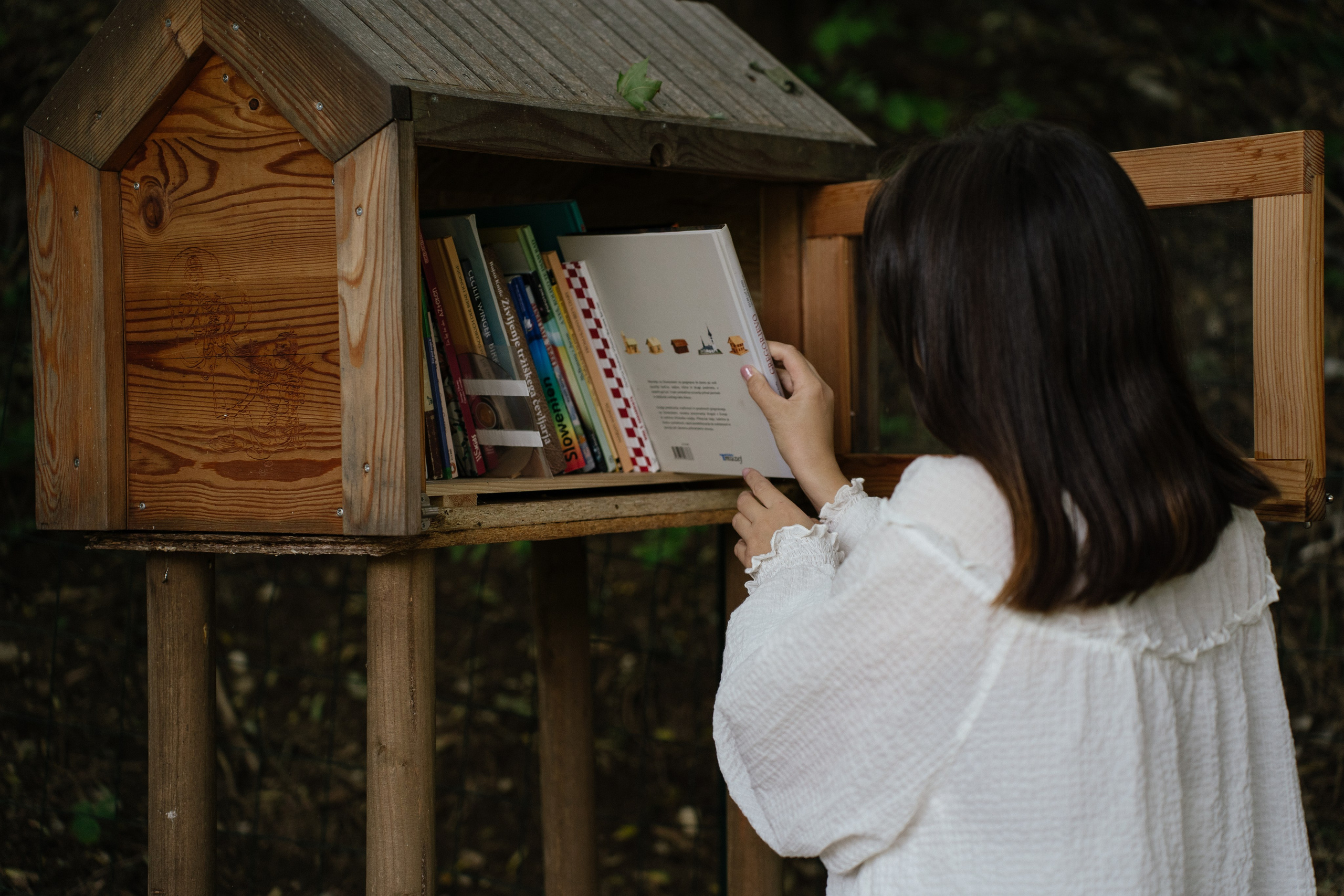 Mood. Patricia Morenci — Mountain Adventures for the Wild at Heart