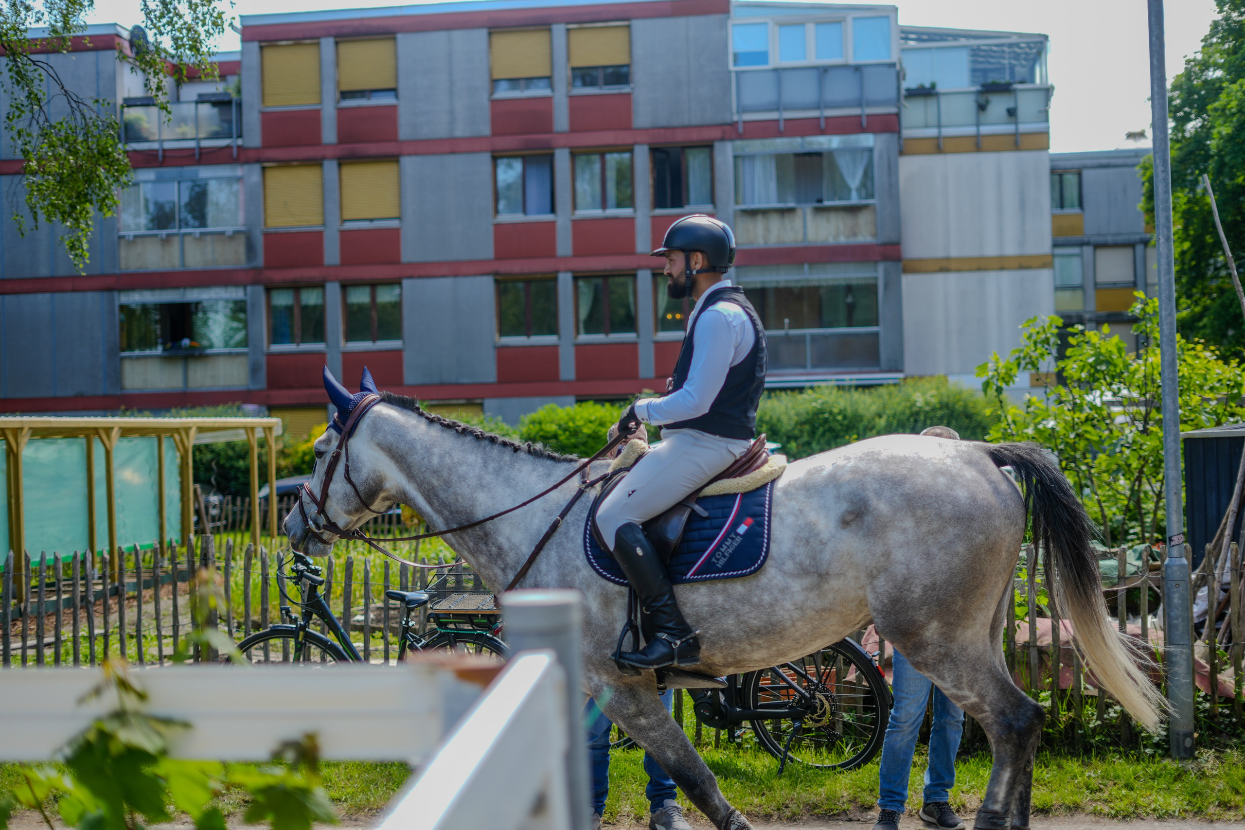 Equestrian Competition