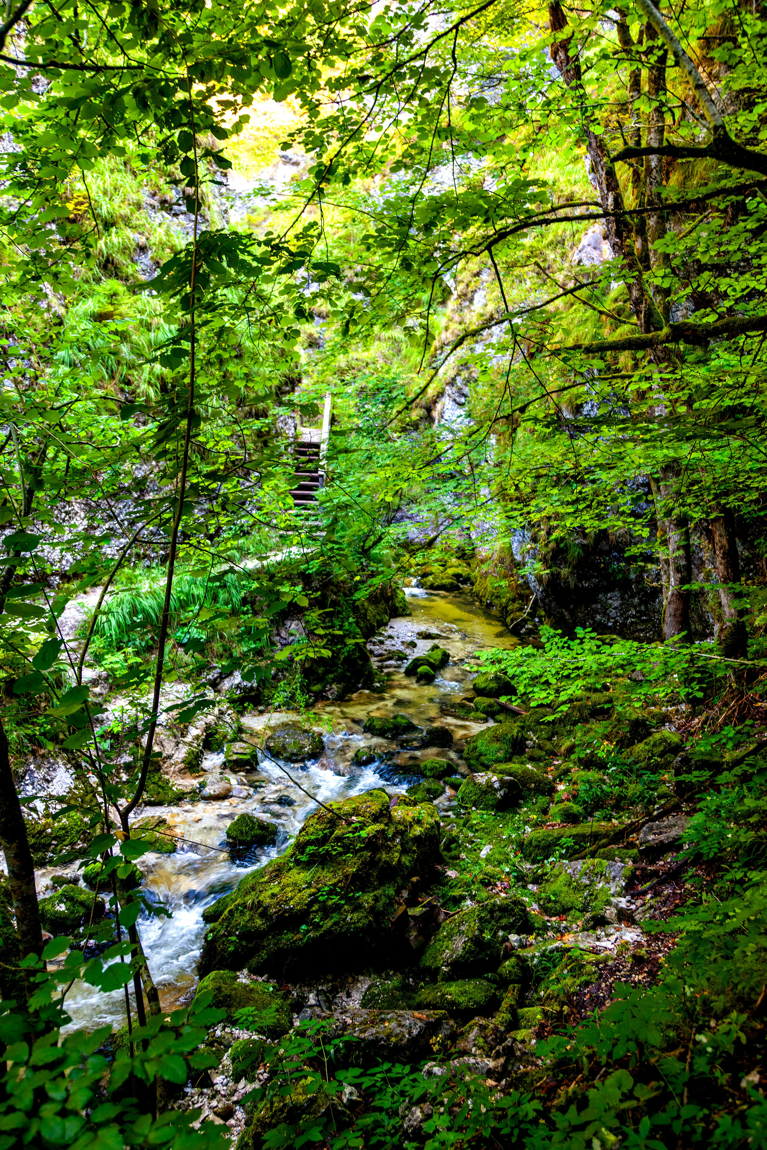 193.Wasserloch Klamm.Palfau.18.8.2025. Путешествия в формате 360......