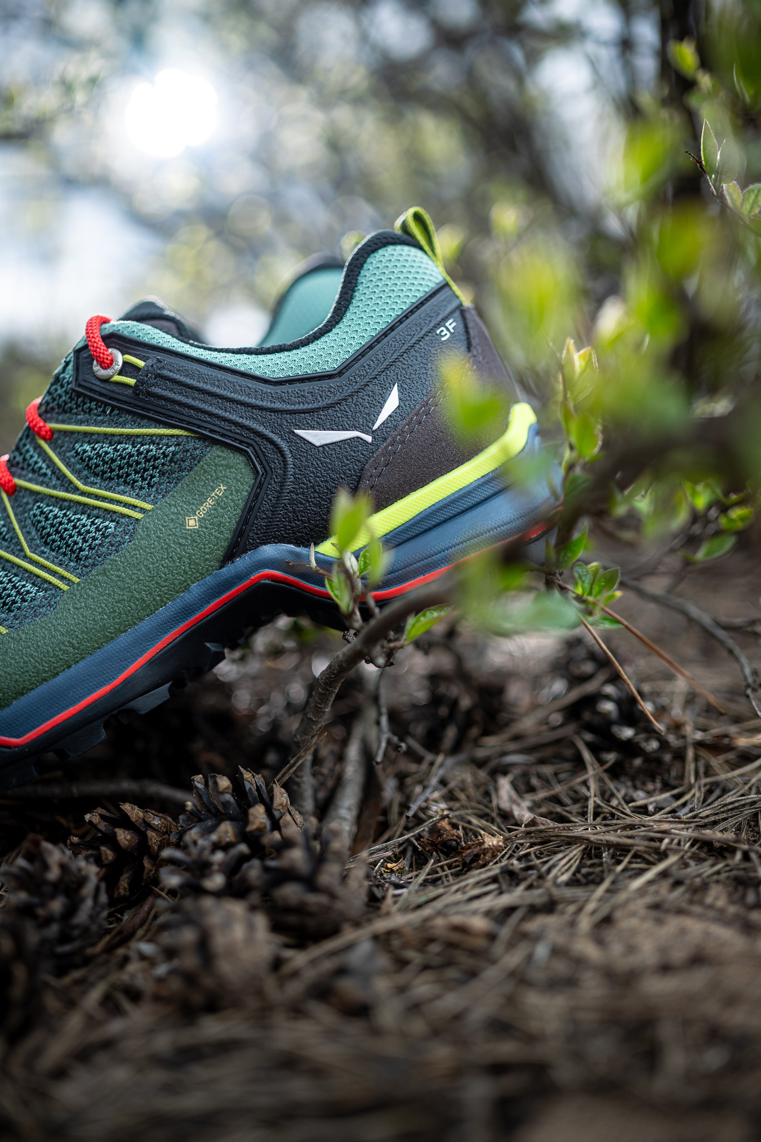 Контент. Фотографы Дарья и Дмитрий Арсентьевы