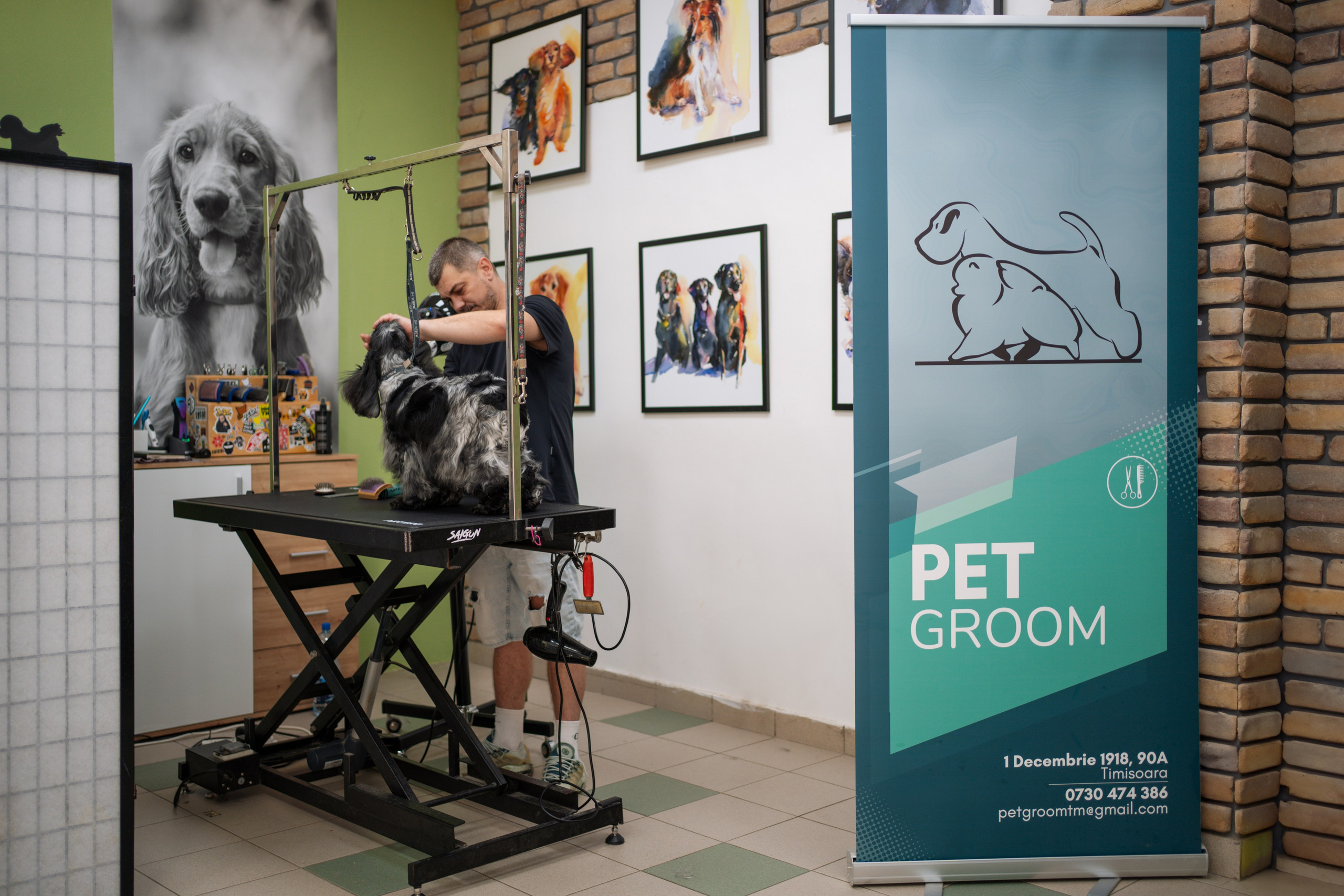 PetGroom Timisoara. Cozac Cristian Photographer